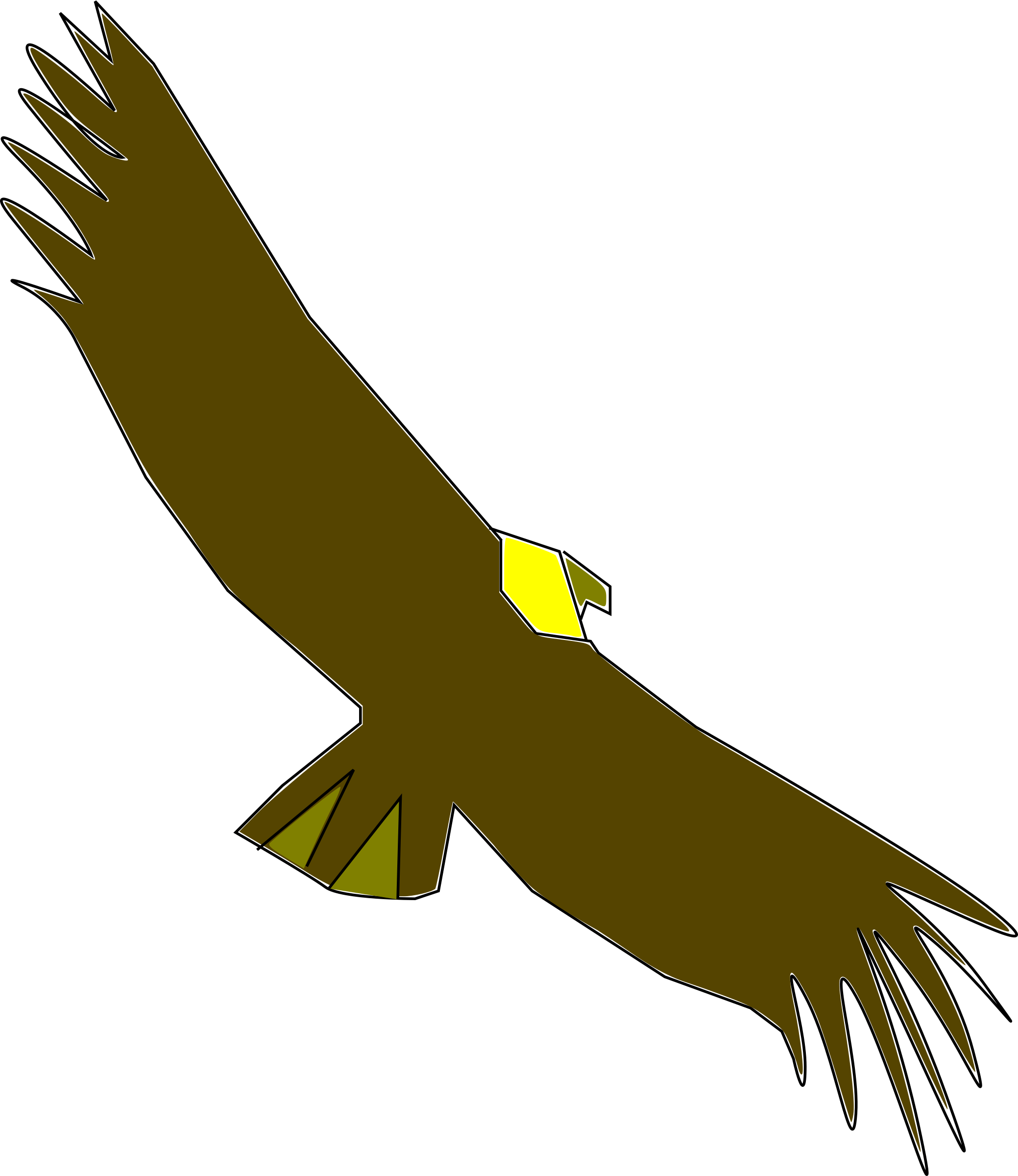 Condor Size: Prepare To Be Absolutely Astounded! - deyjync