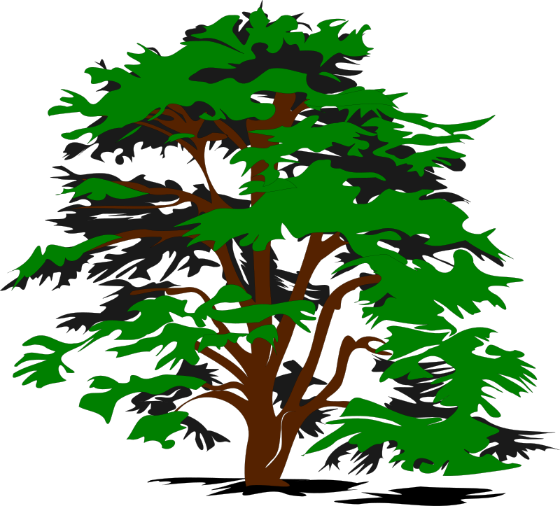 Clipart Simple Vector Tree