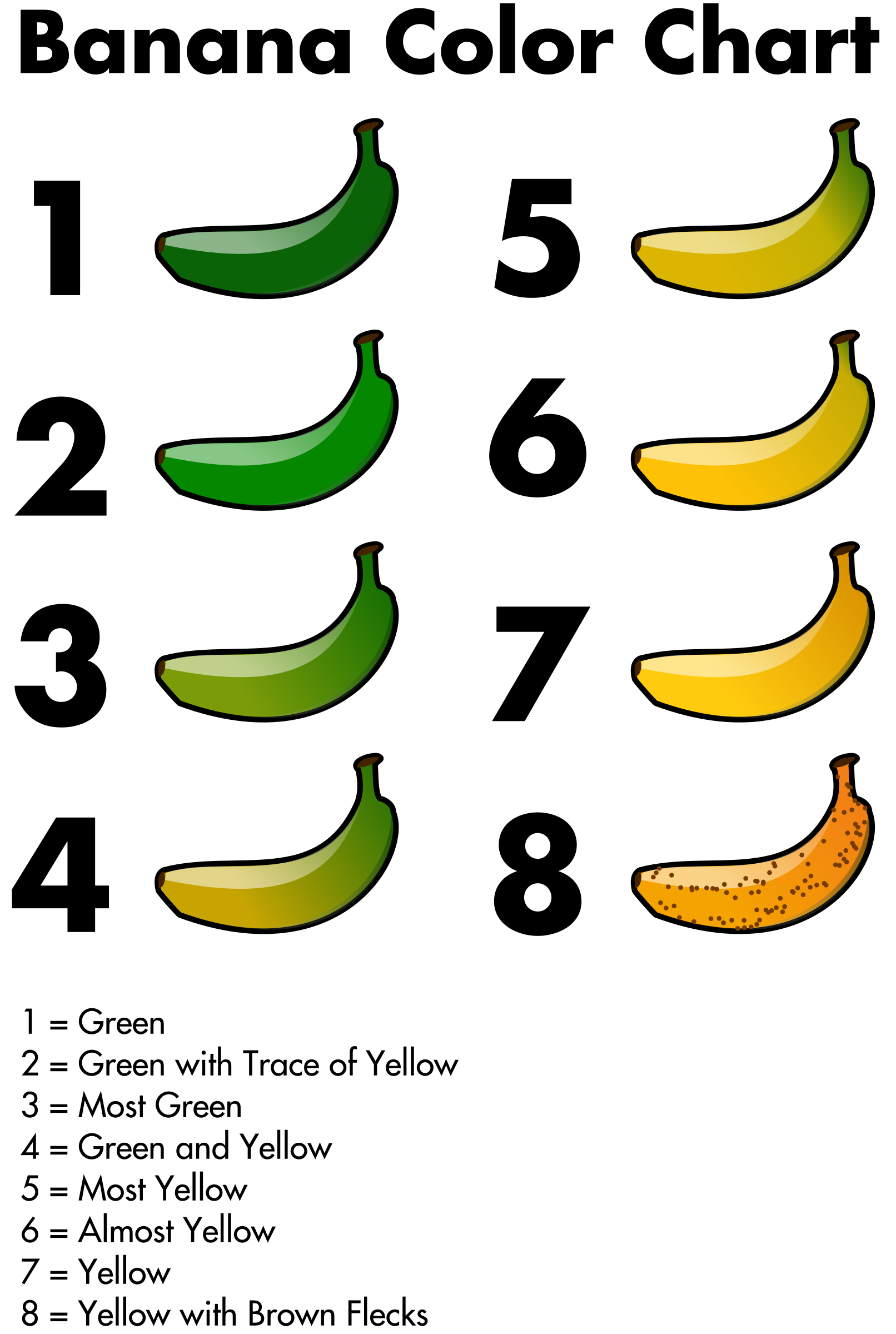 Clipart Banana Color Chart