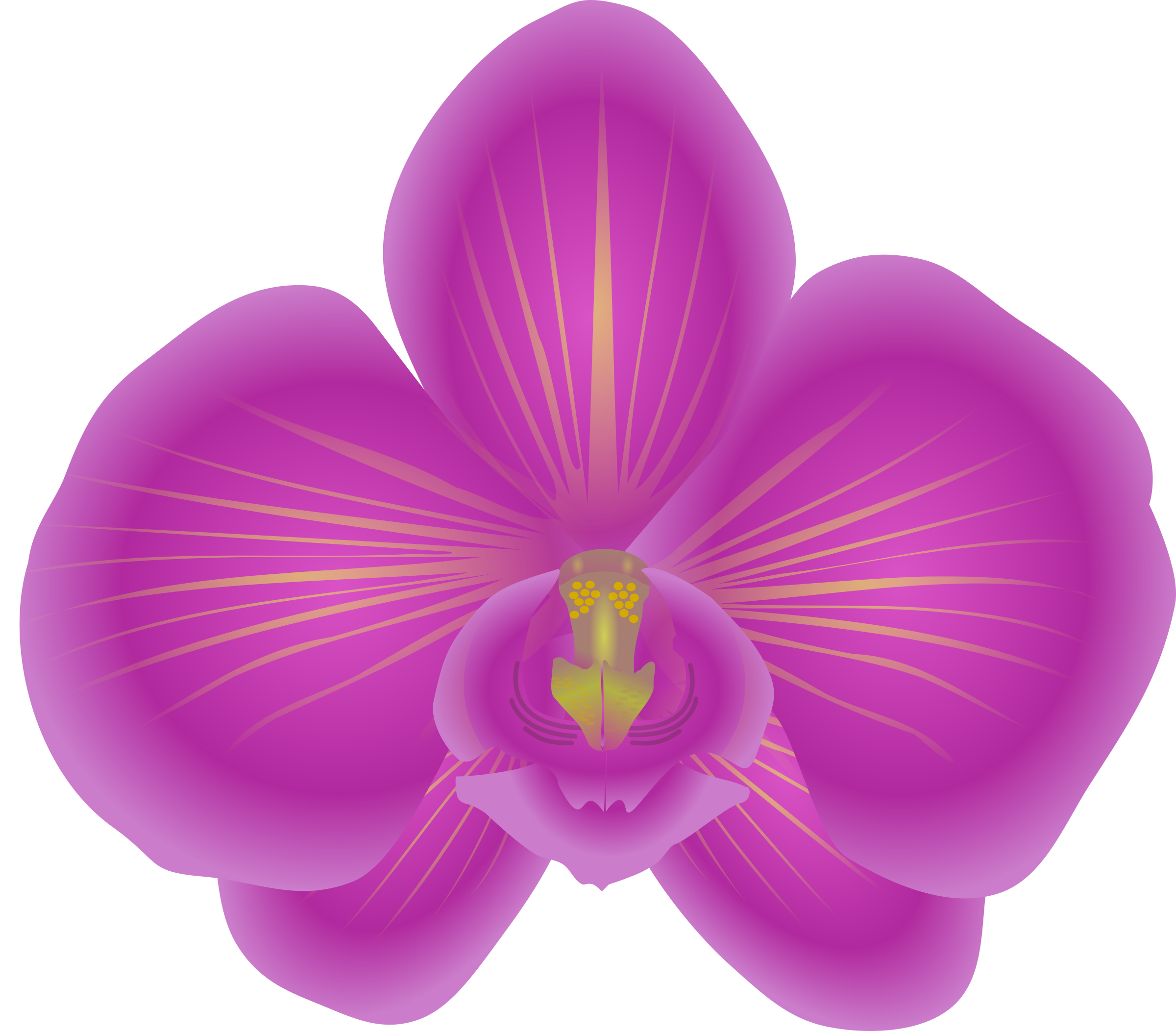 Clipart - orchid