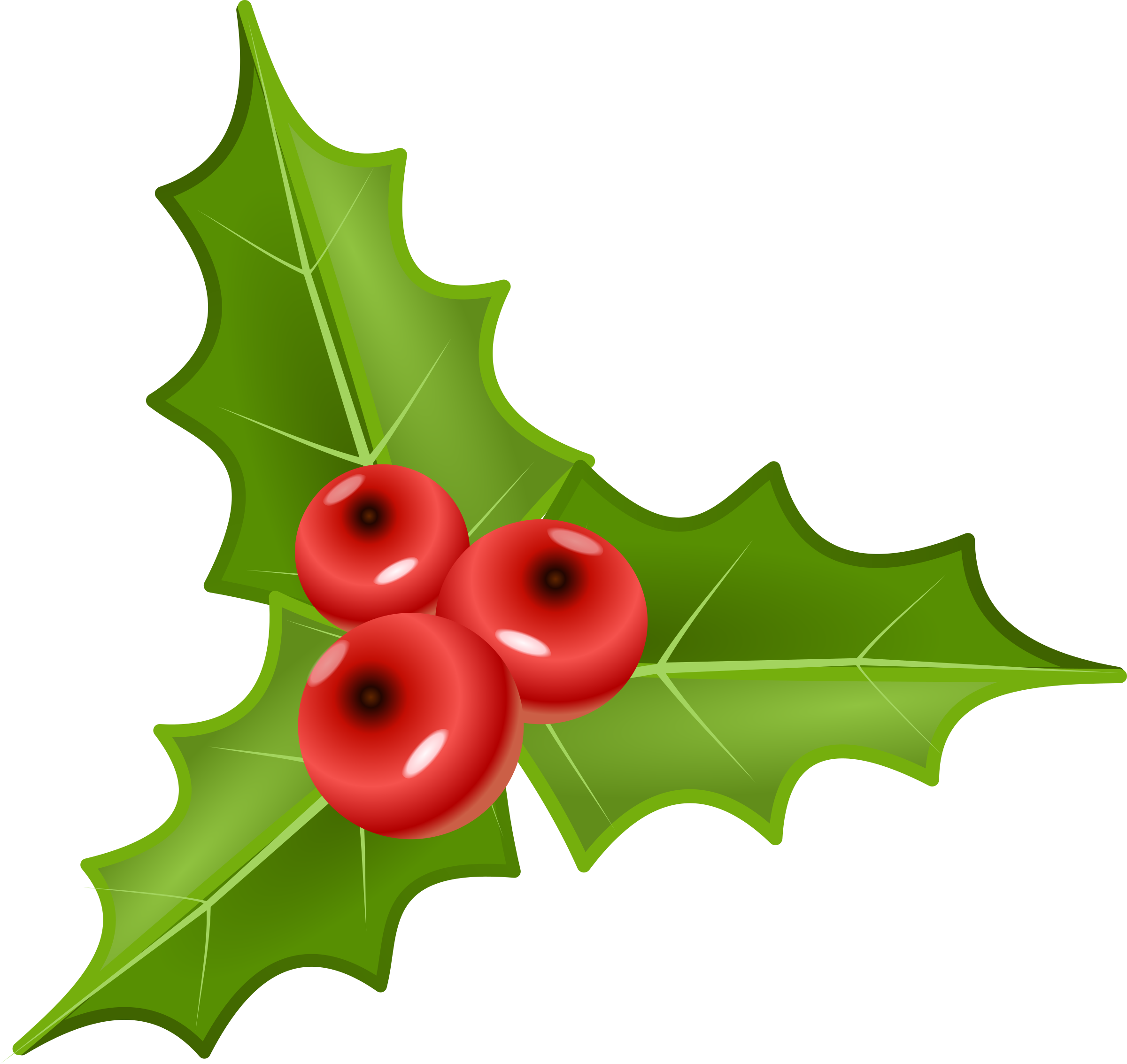 clipart of christmas holly - photo #40