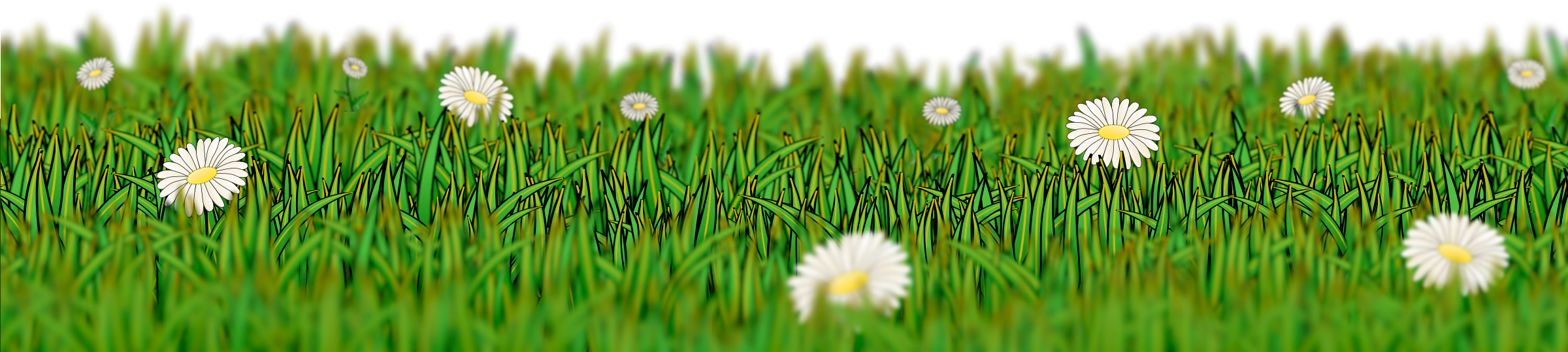 flower meadow clipart - photo #14
