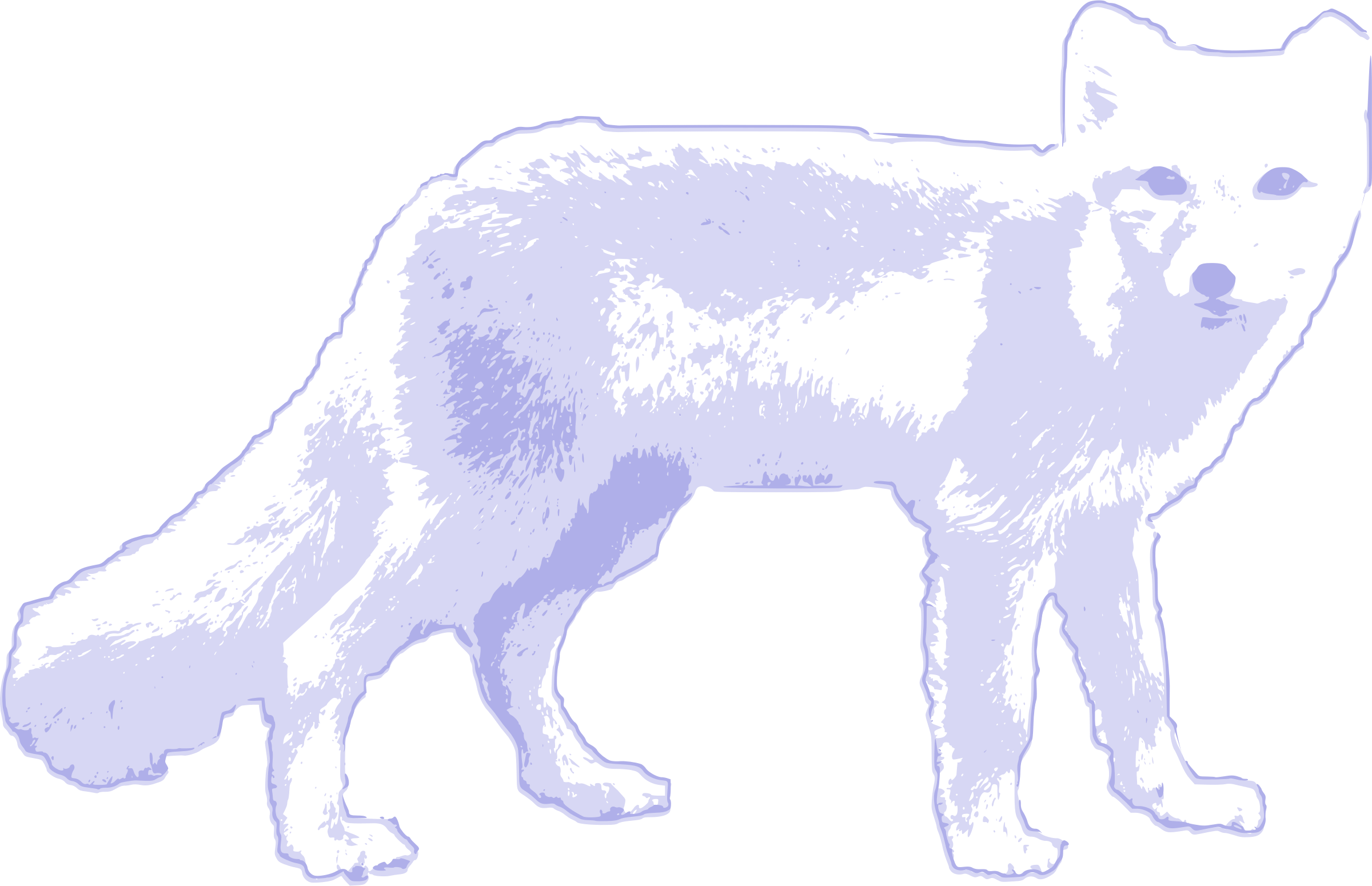 Clipart - Arctic fox