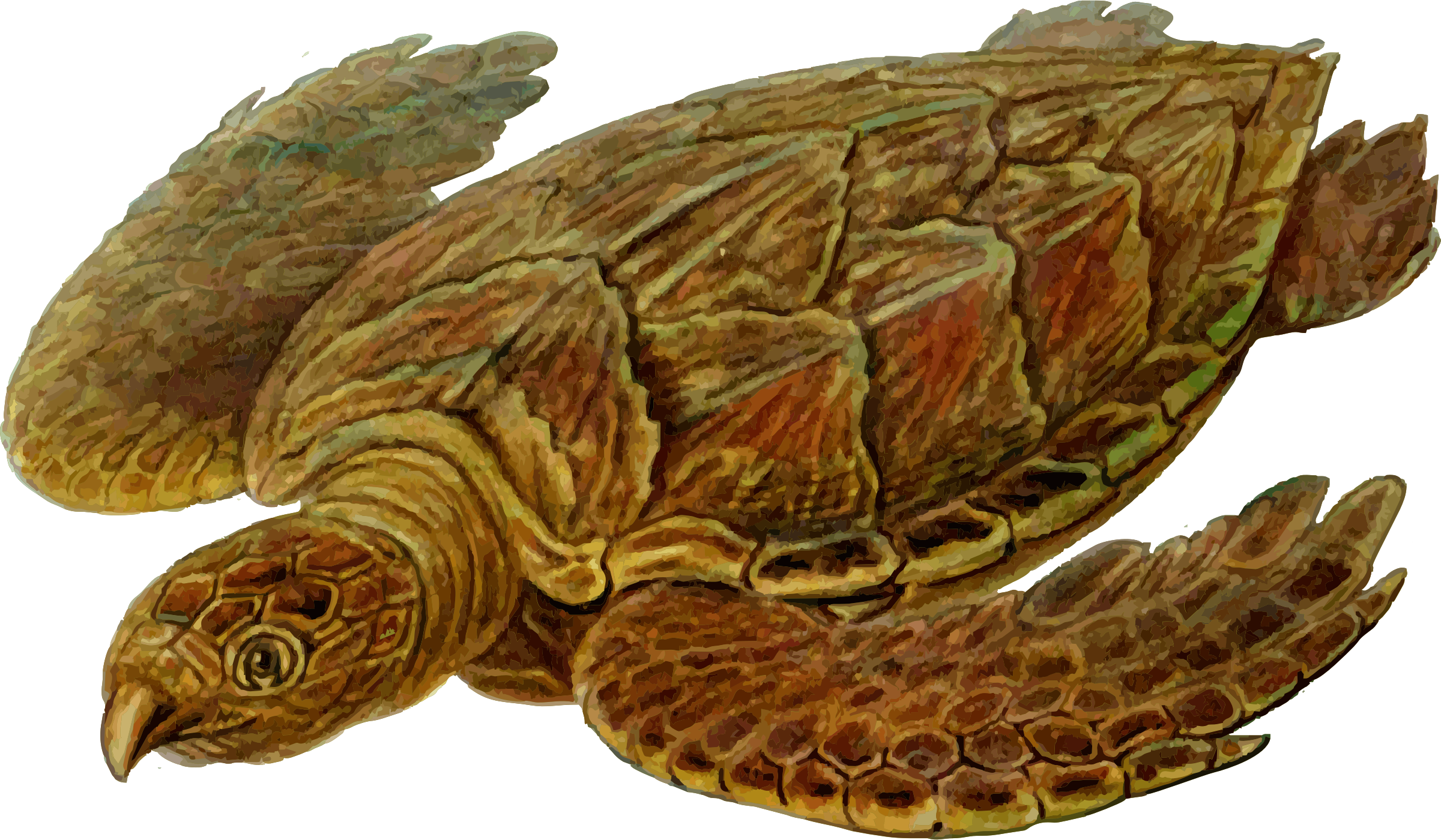 Prehistoric Sea Turtle