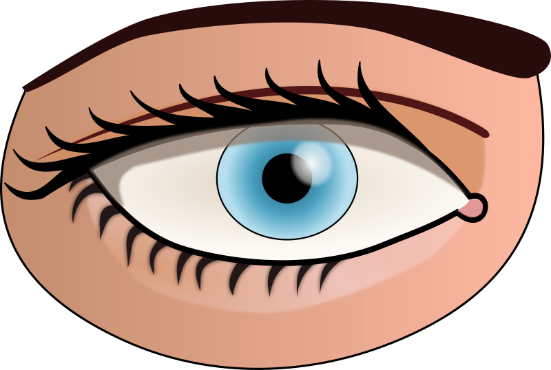 Clipart Eye