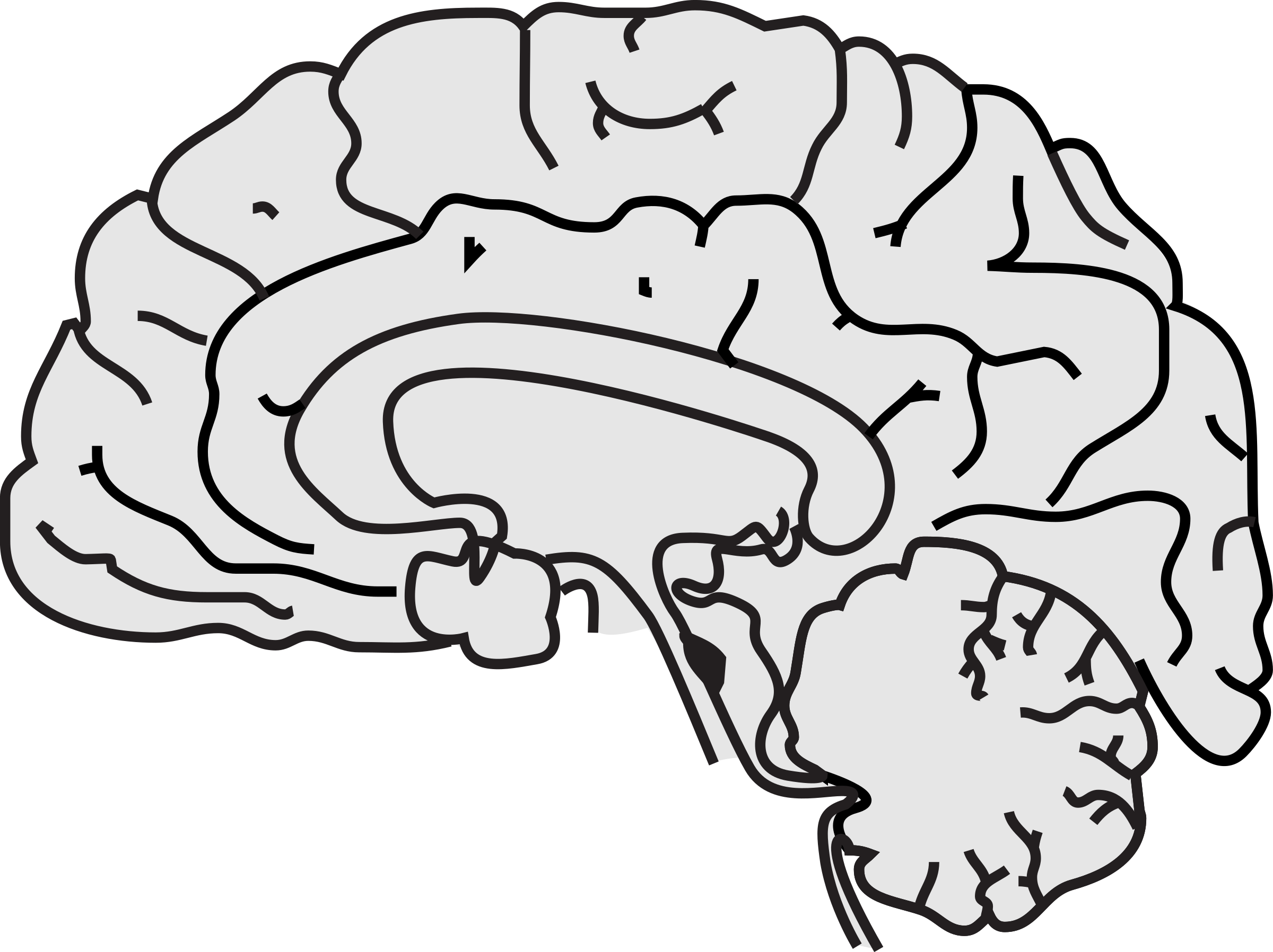 Clipart - Simple Brain