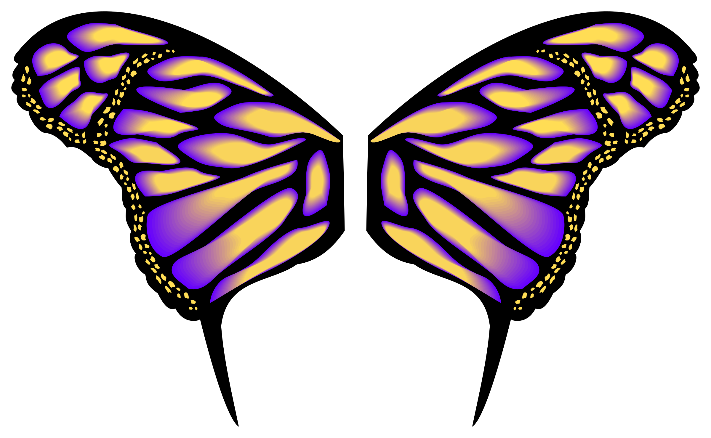 Wings Png Butterfly Wings Wings