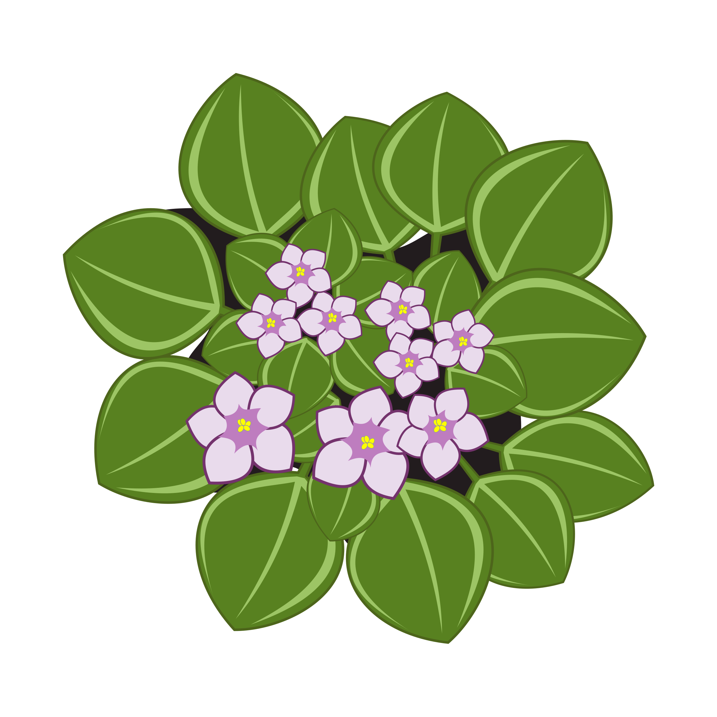 clipart african violets - photo #3