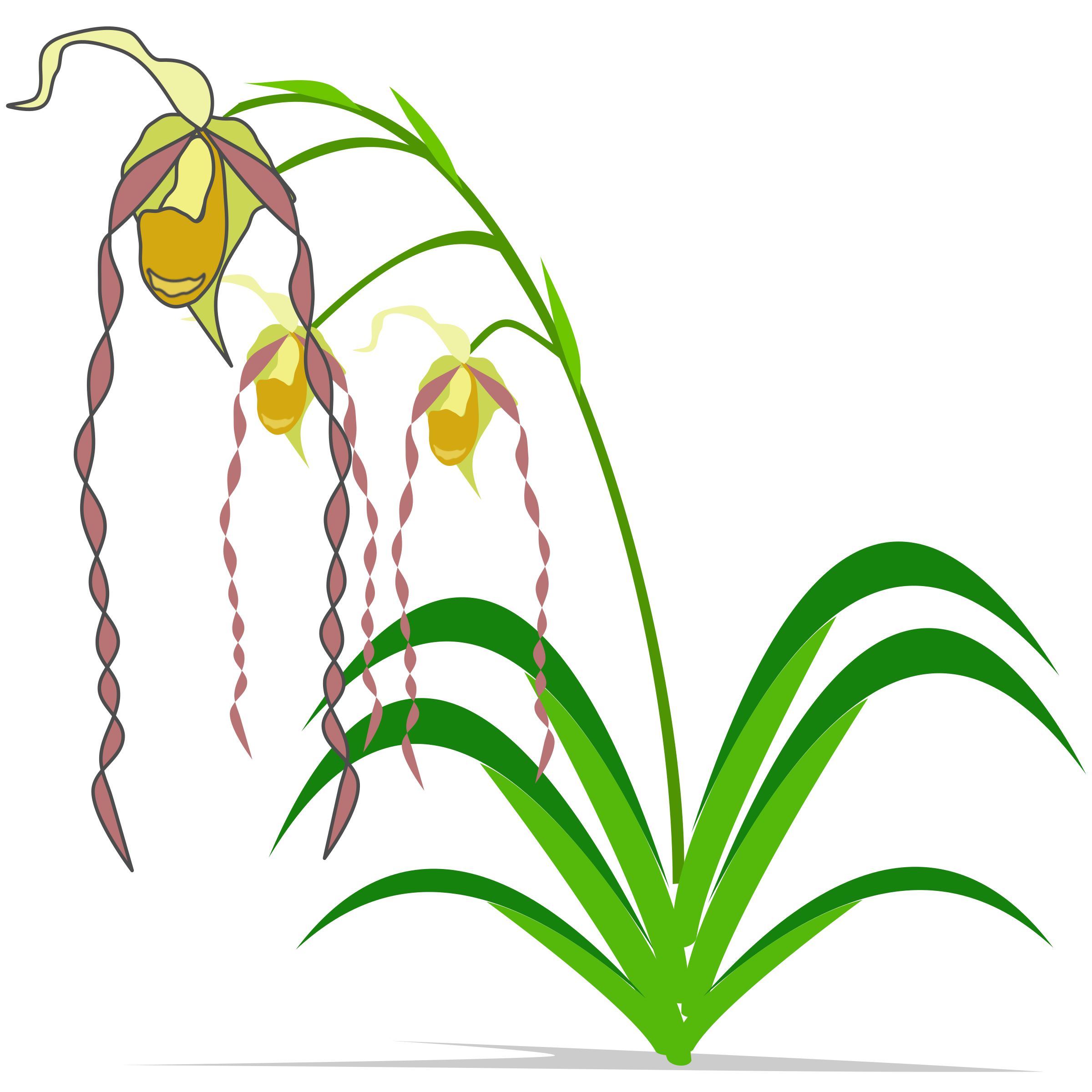 clipart orchid flower - photo #24