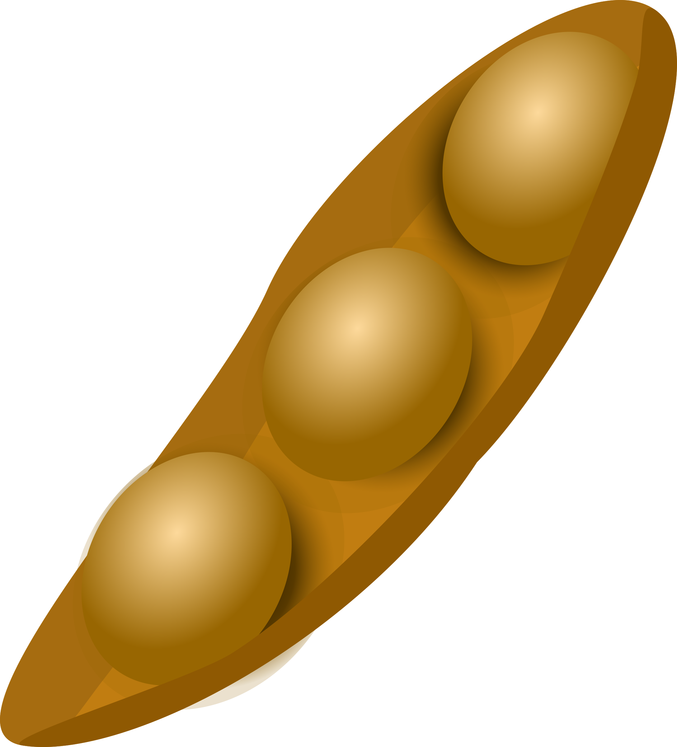 Clipart - Soybean beans