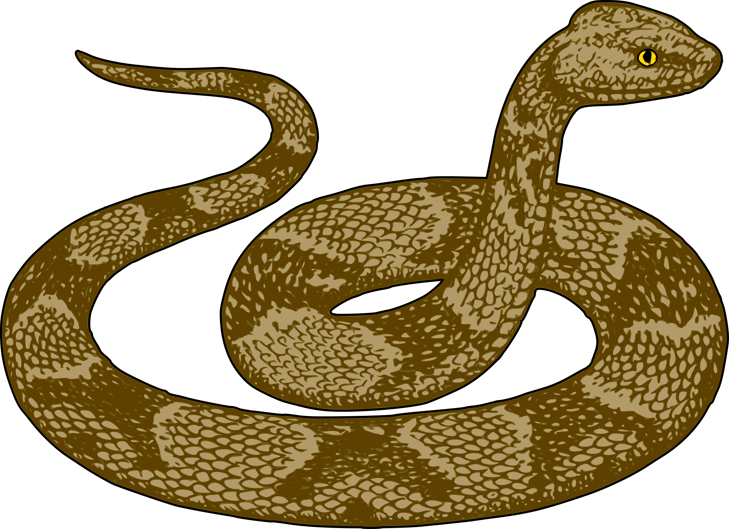  Clipart  Copperhead Snake