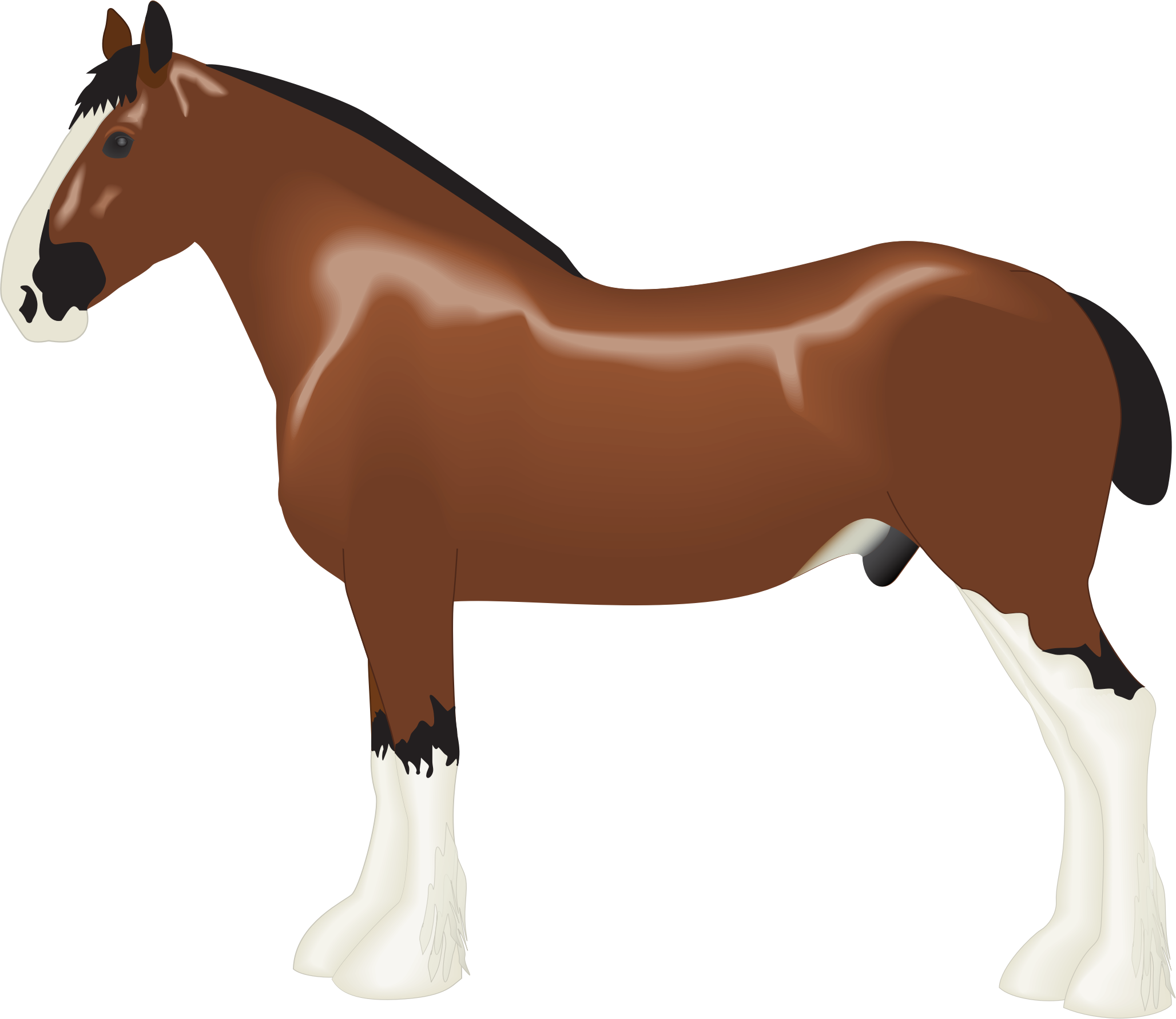 Download Clipart - Clydesdale Horse