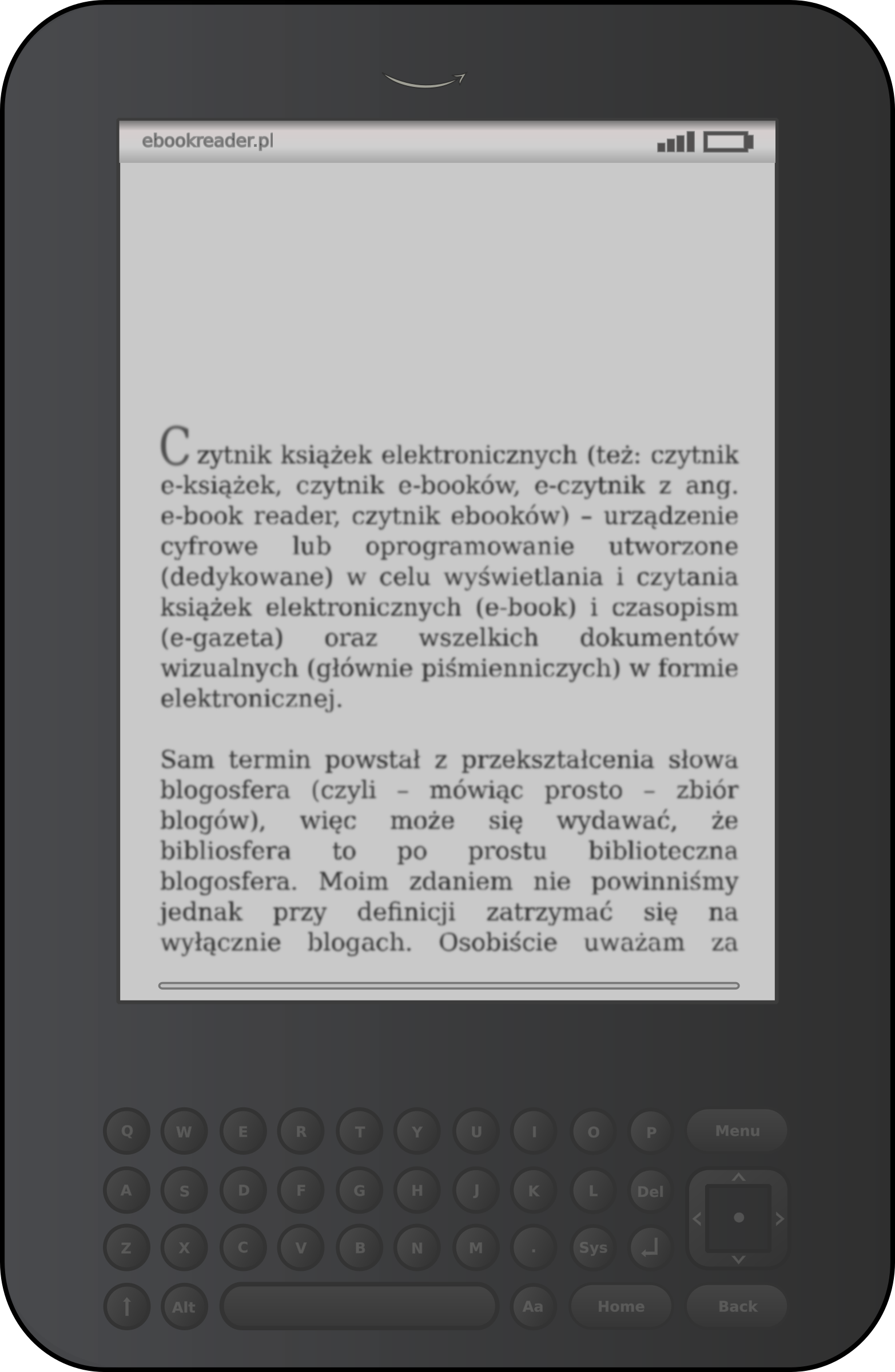 E-book reader by bocian