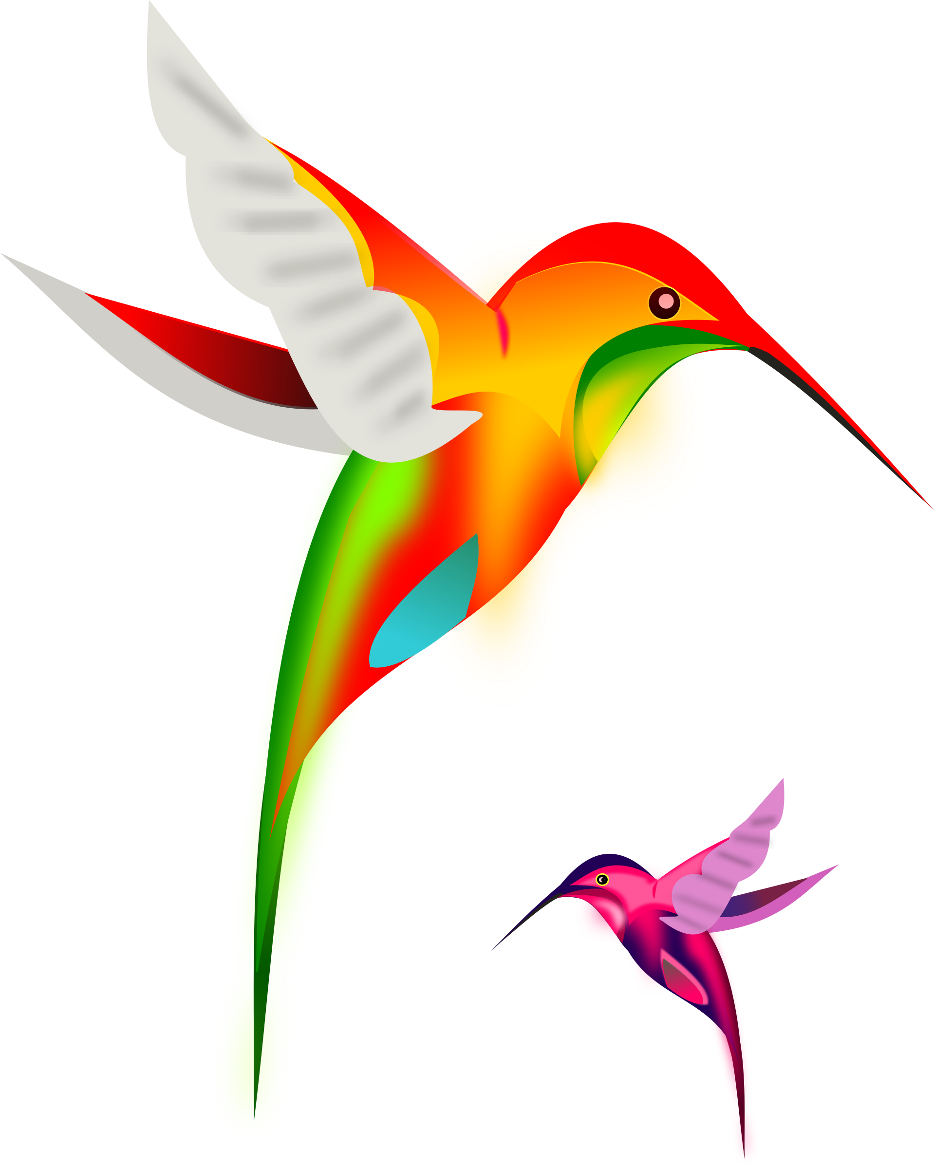 free animated hummingbird clipart - photo #16