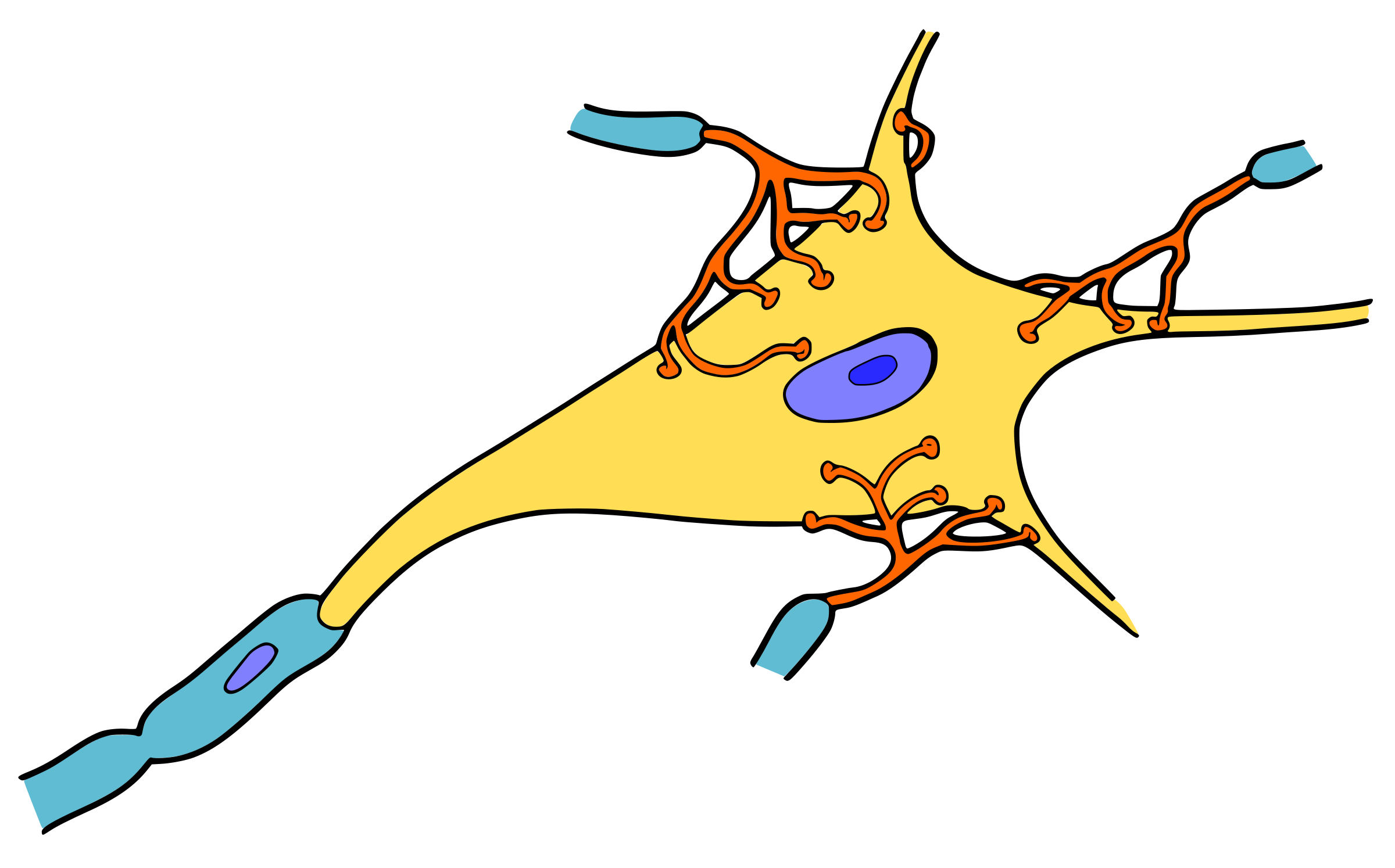 Clipart - Neuron