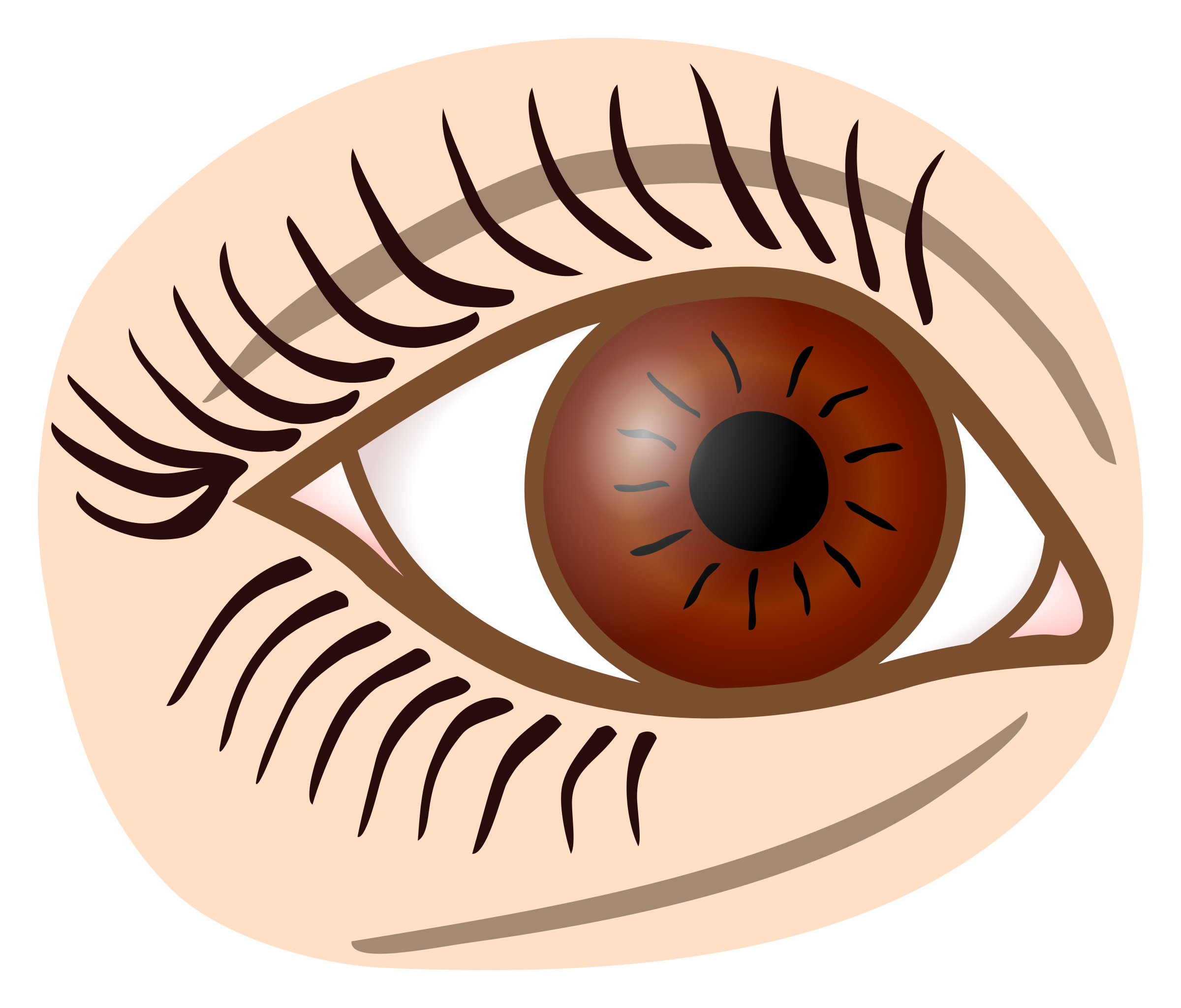 Clipart - eye - coloured