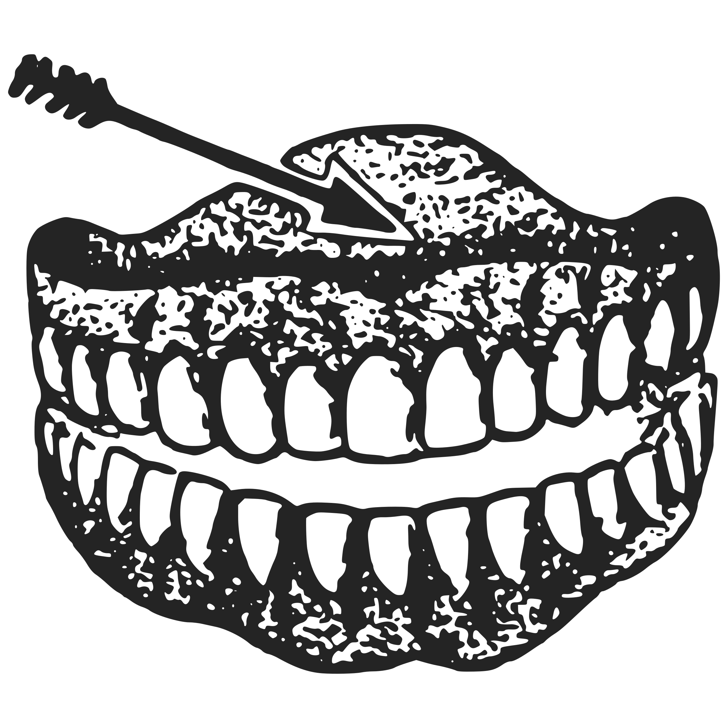 https://openclipart.org/image/2400px/svg_to_png/220592/Dentures-1911.png