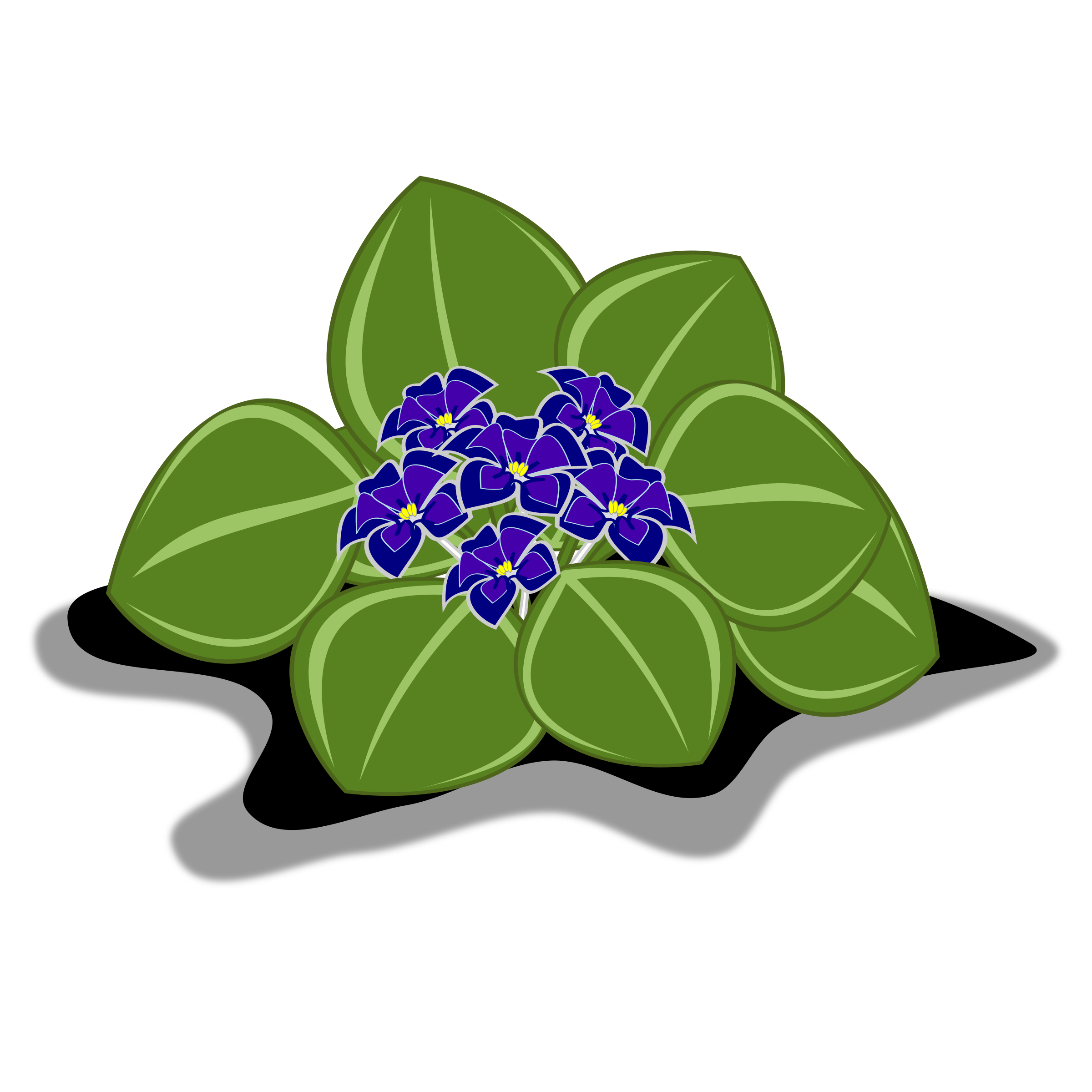 clipart african violets - photo #9