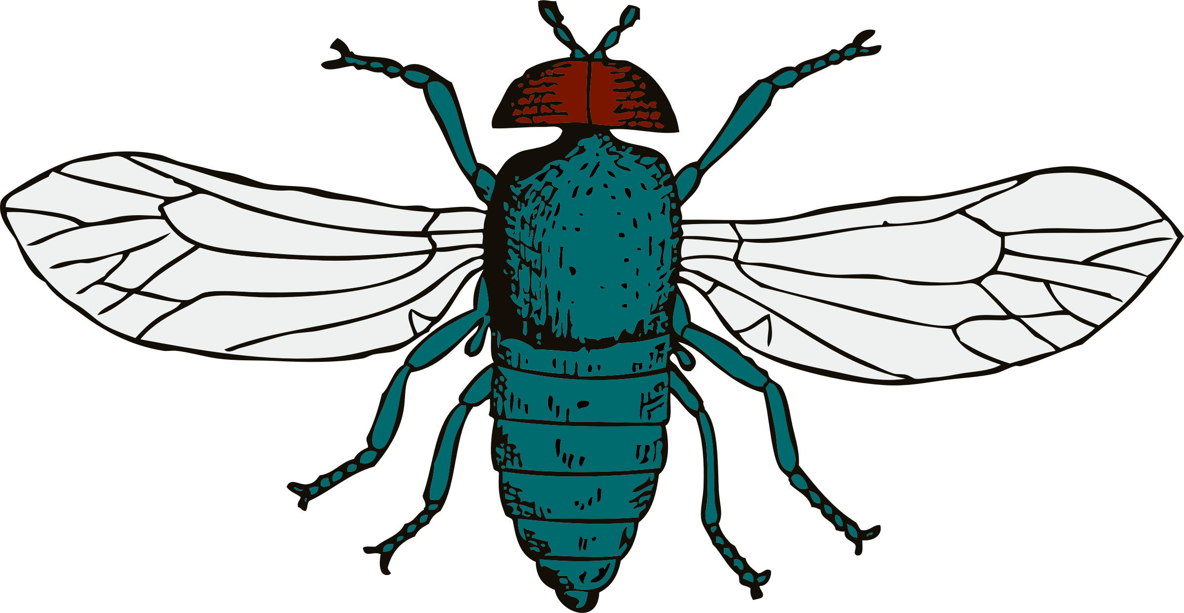 fruit fly clipart - photo #42