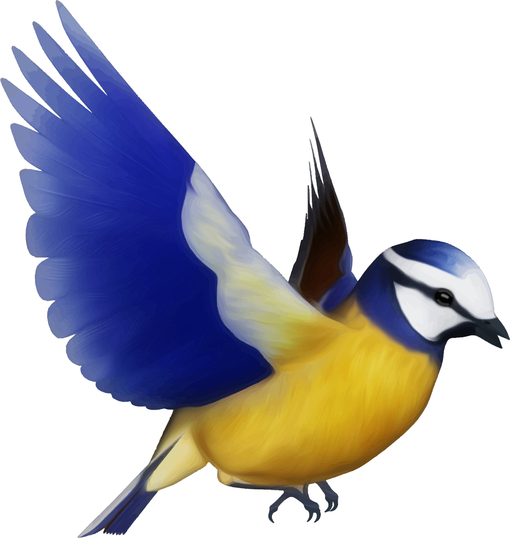Clipart - Colorful Bird