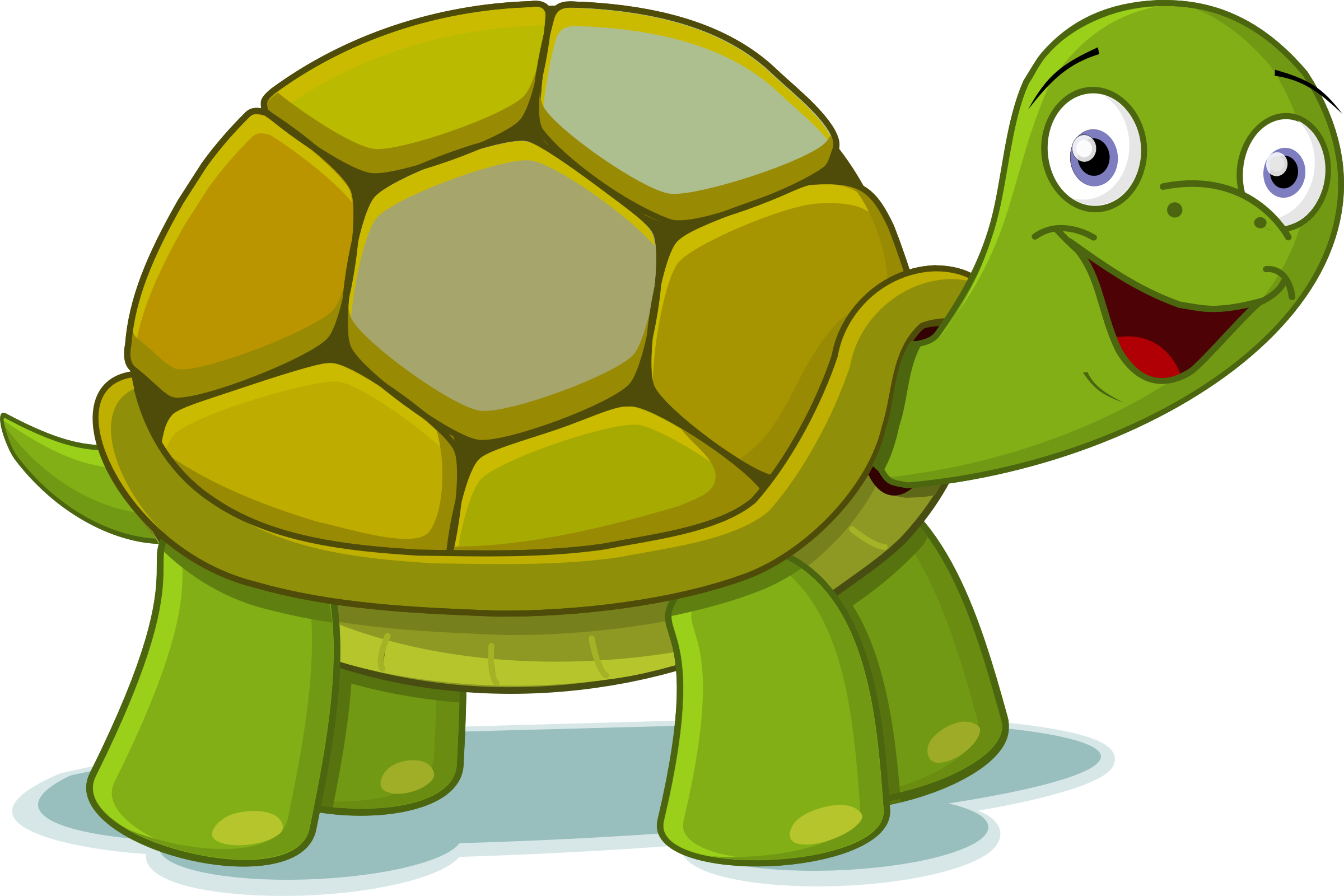 clipart picture of a turtle - photo #6