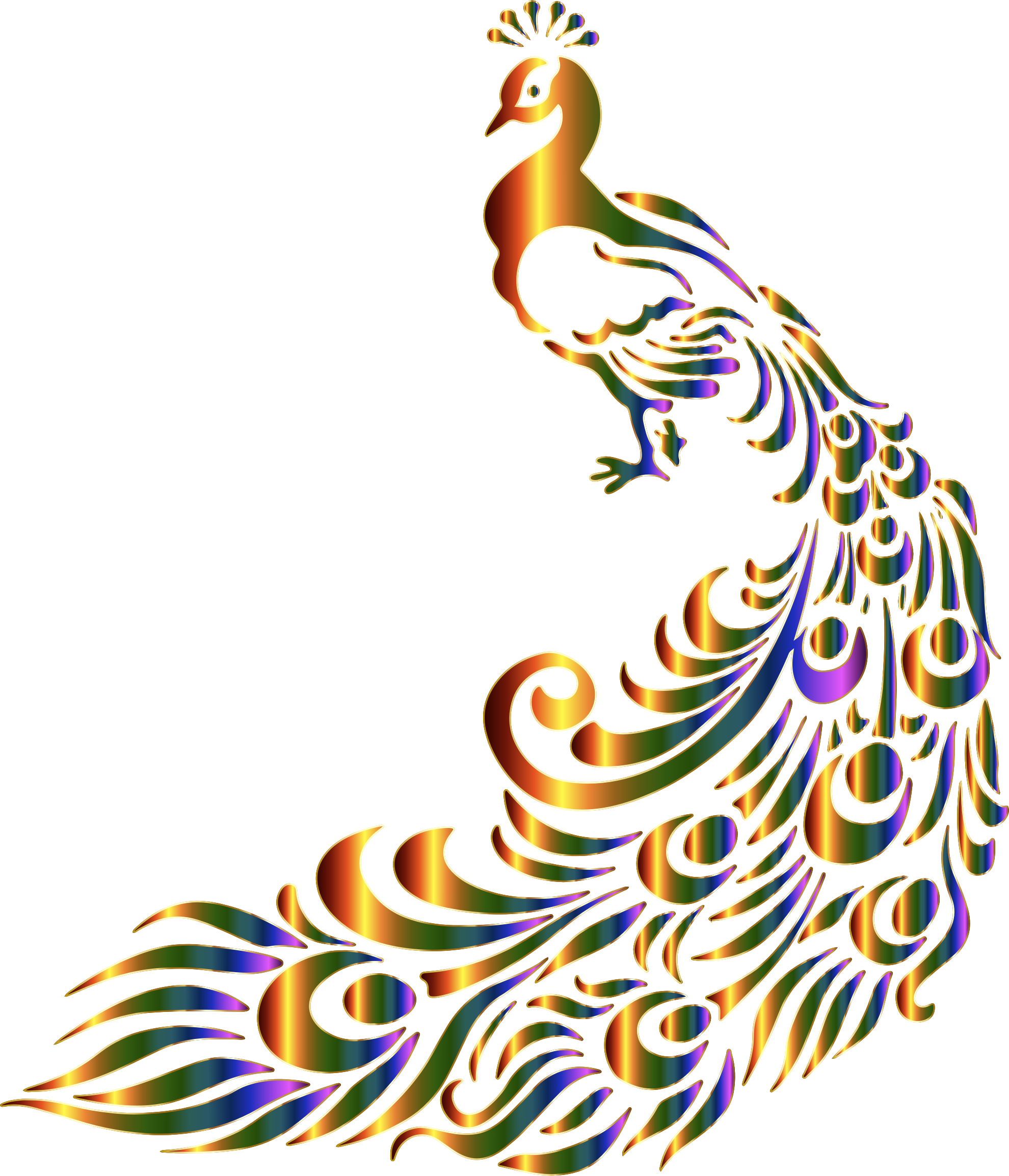 Clipart Chromatic Peacock 7 No Background