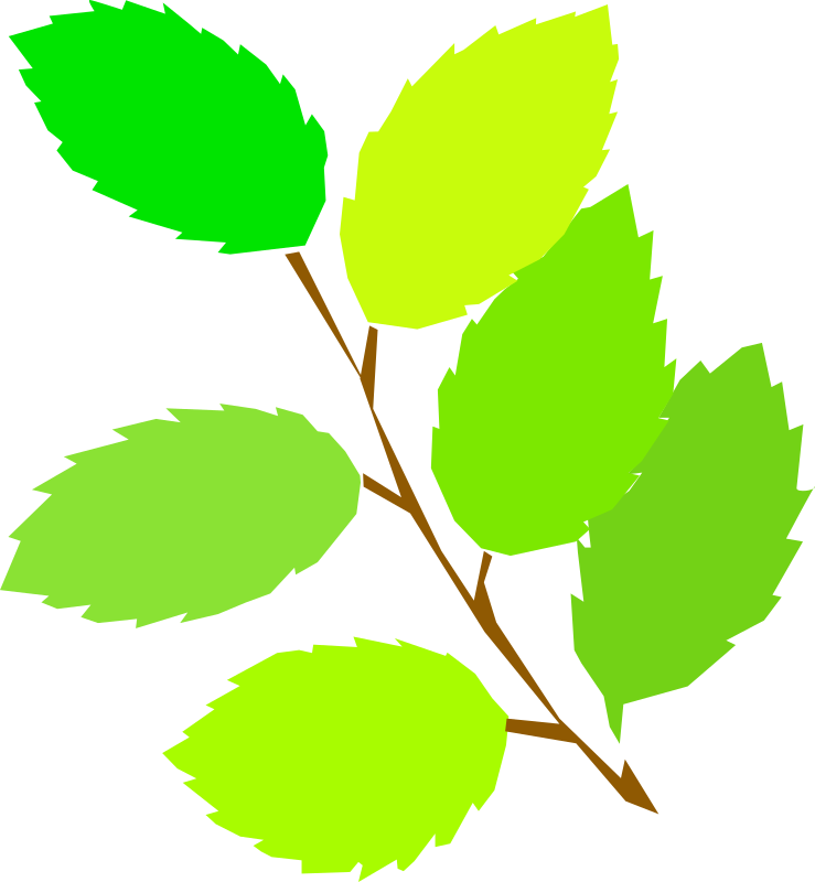 Clipart Simple Spring New Leaves Clipart Simple Spring New Leaves