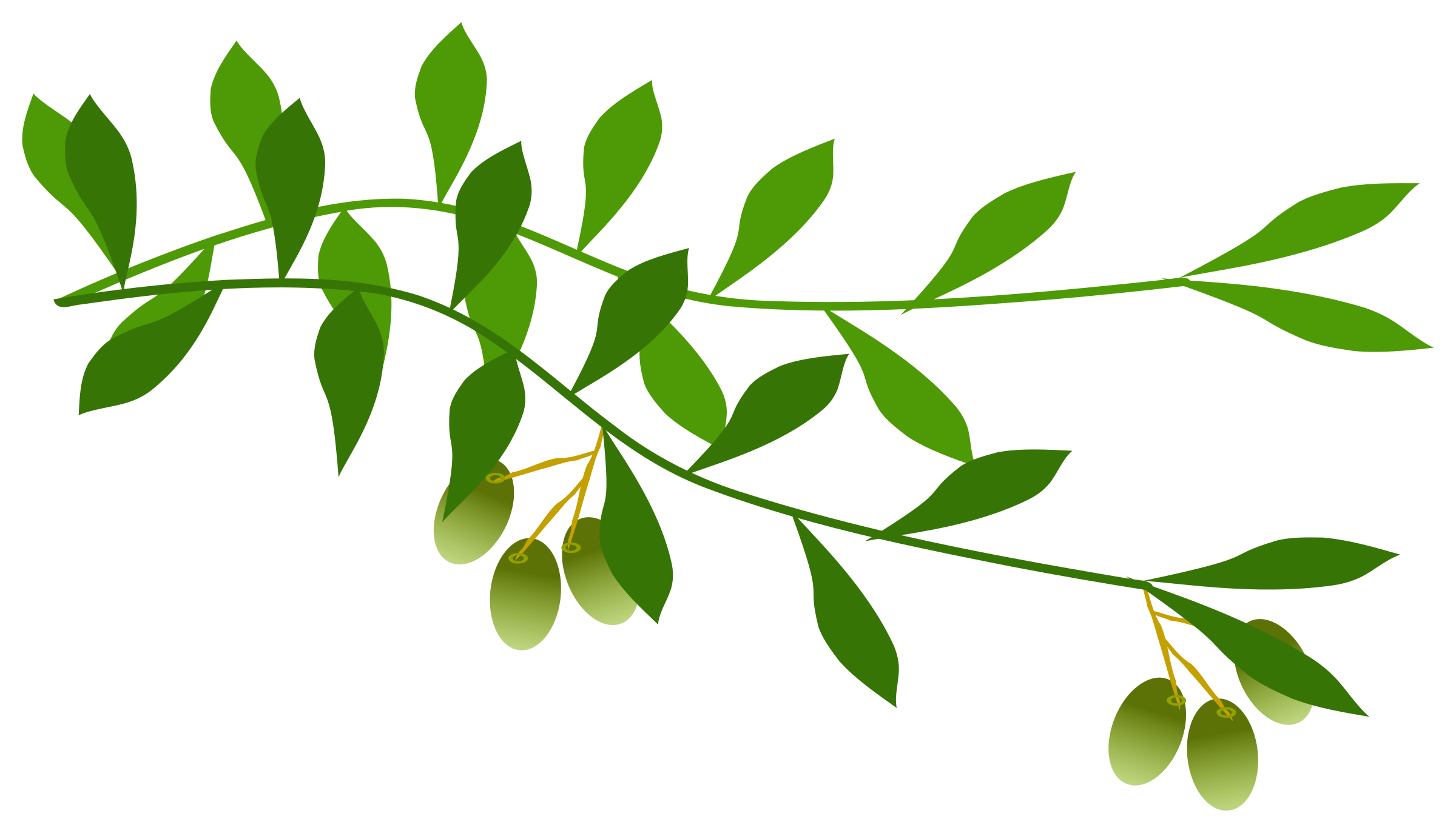 clip art olive leaves - photo #35