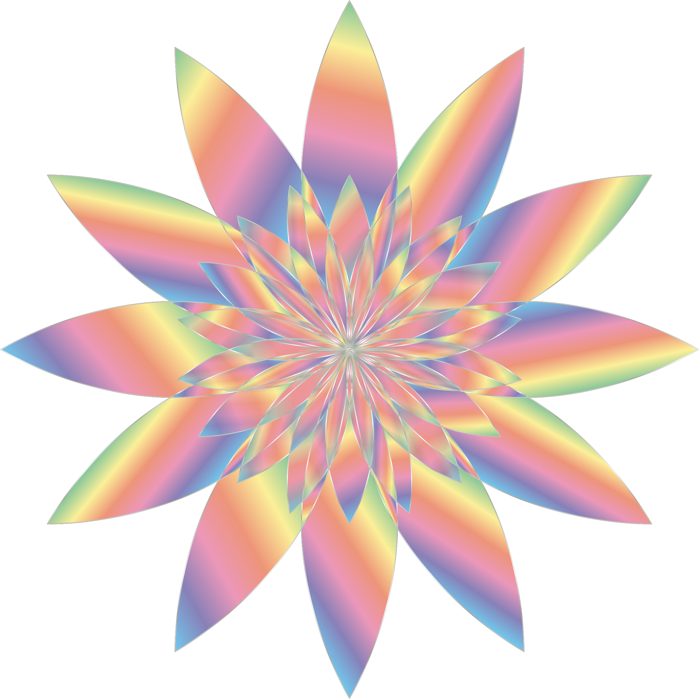 flower clipart no background - photo #9