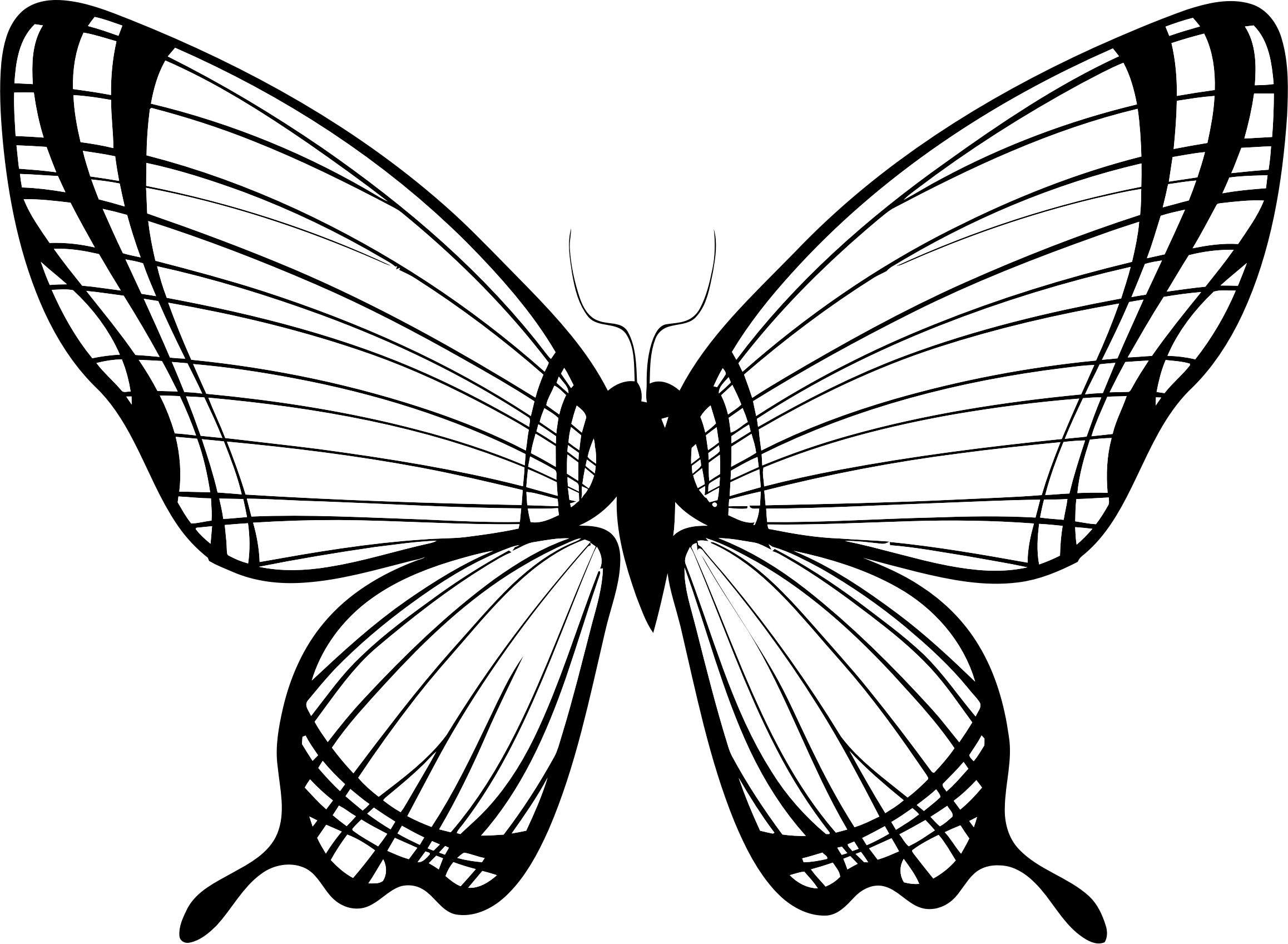 Download Clipart - Butterfly Silhouette 11