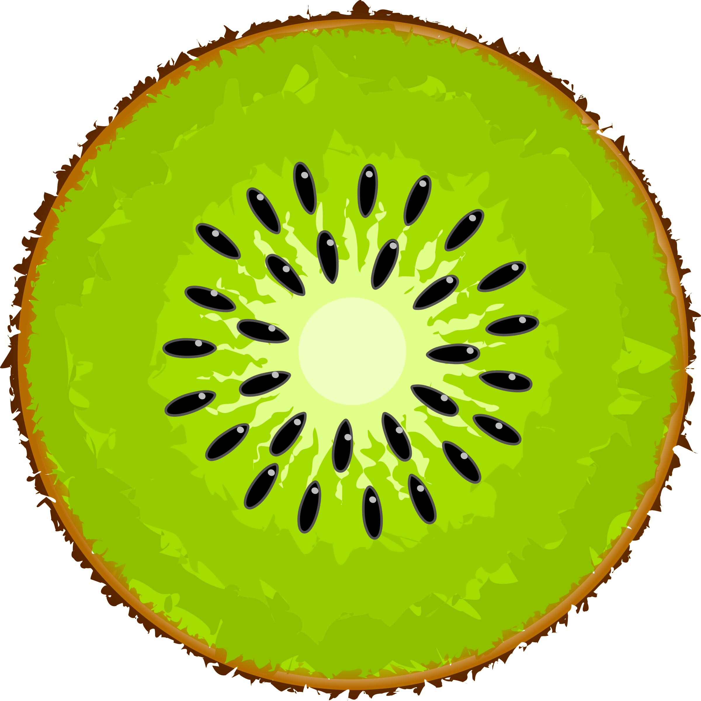 free kiwi fruit clipart - photo #10