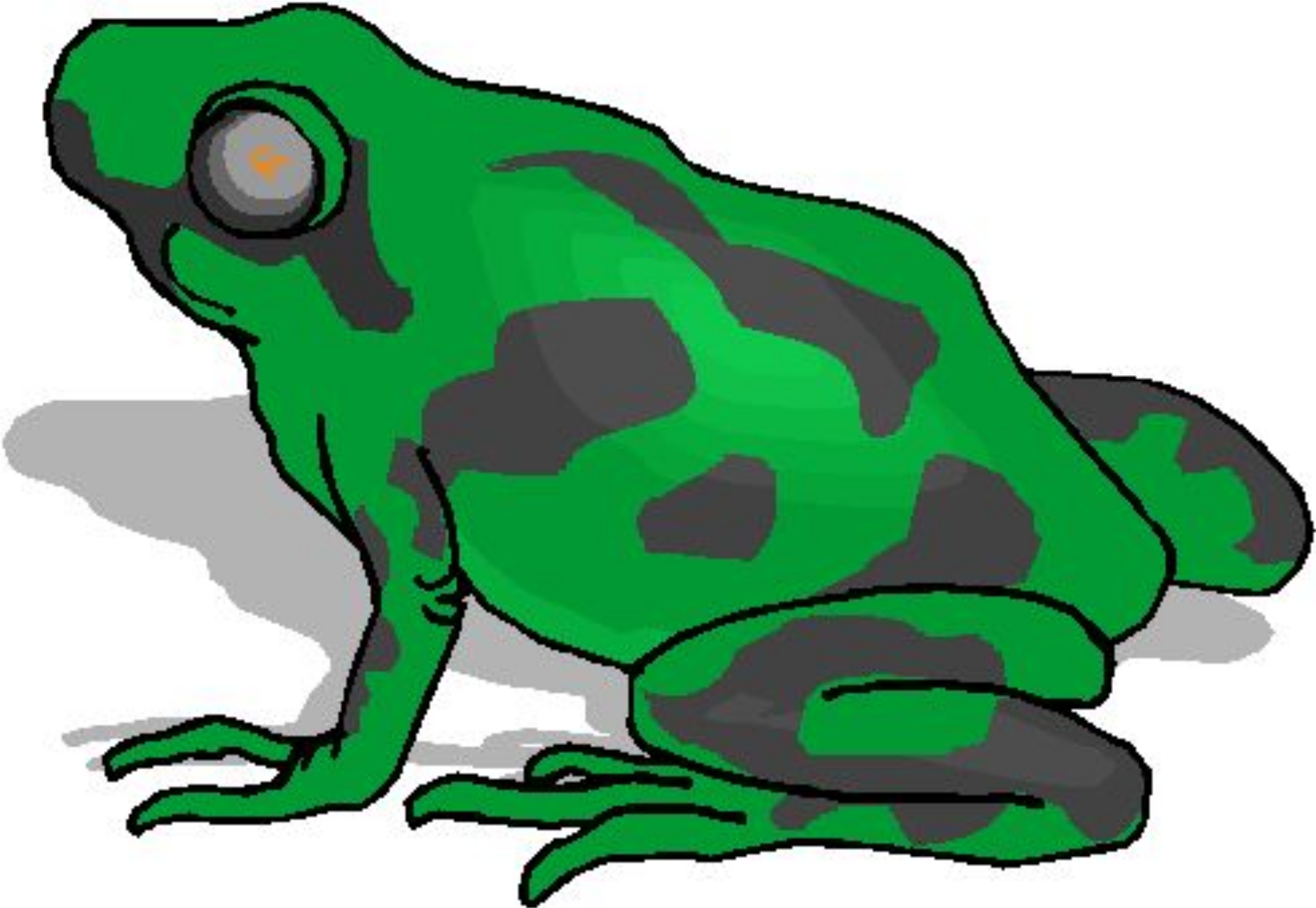 green frog clipart - photo #28