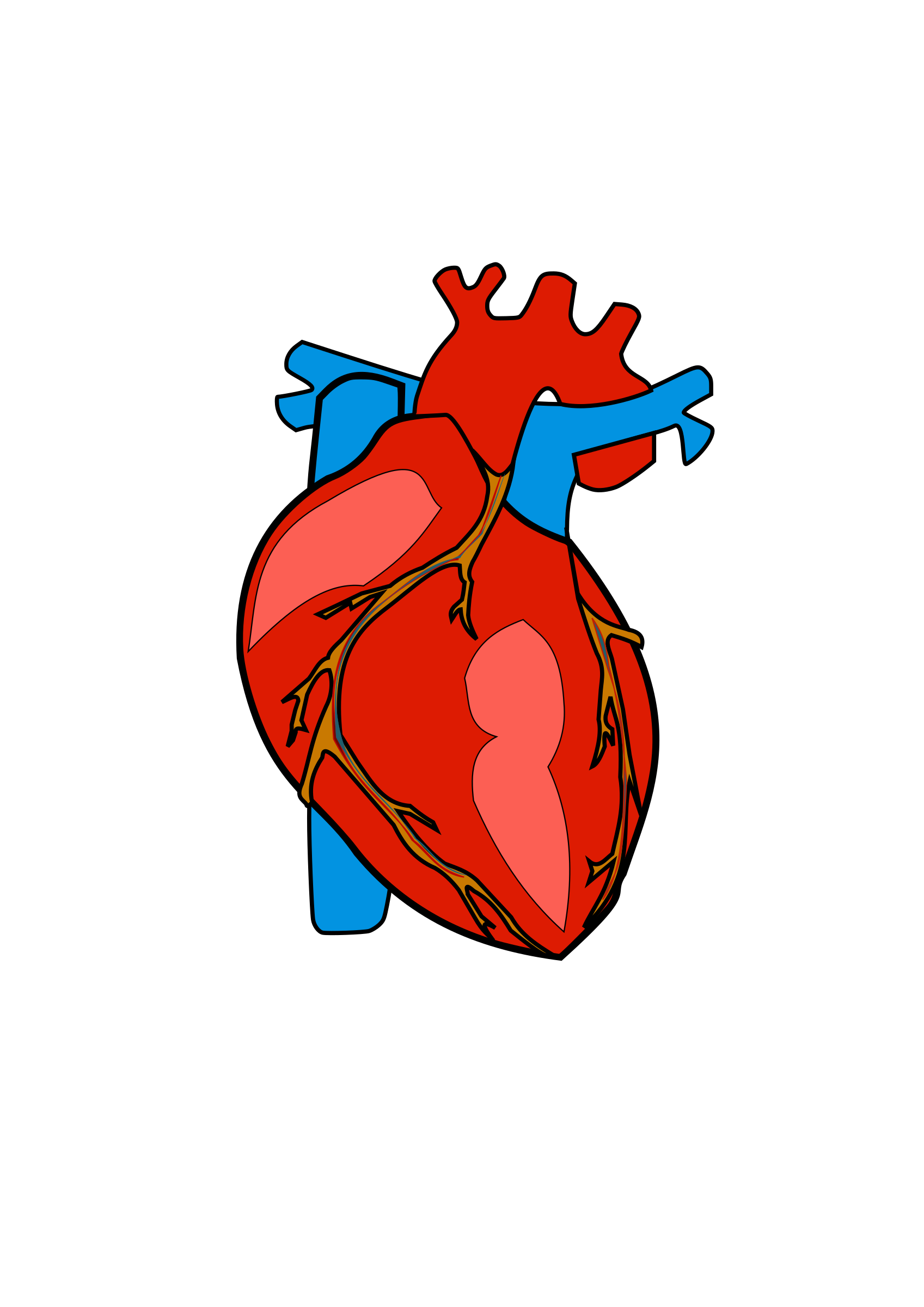 heart organ clipart - photo #6
