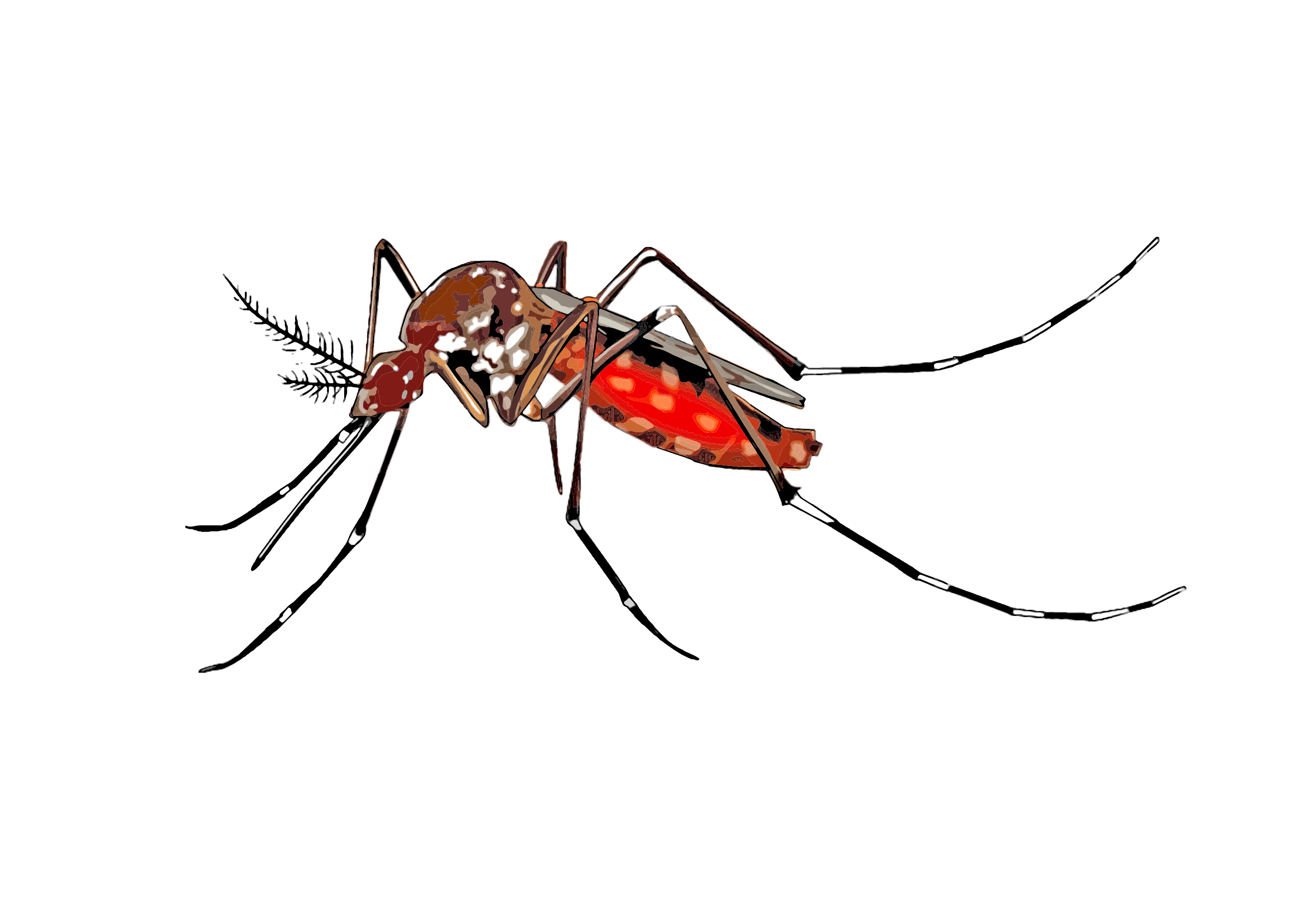 Clipart - cartoon mosquito spreading Aedes aegypti