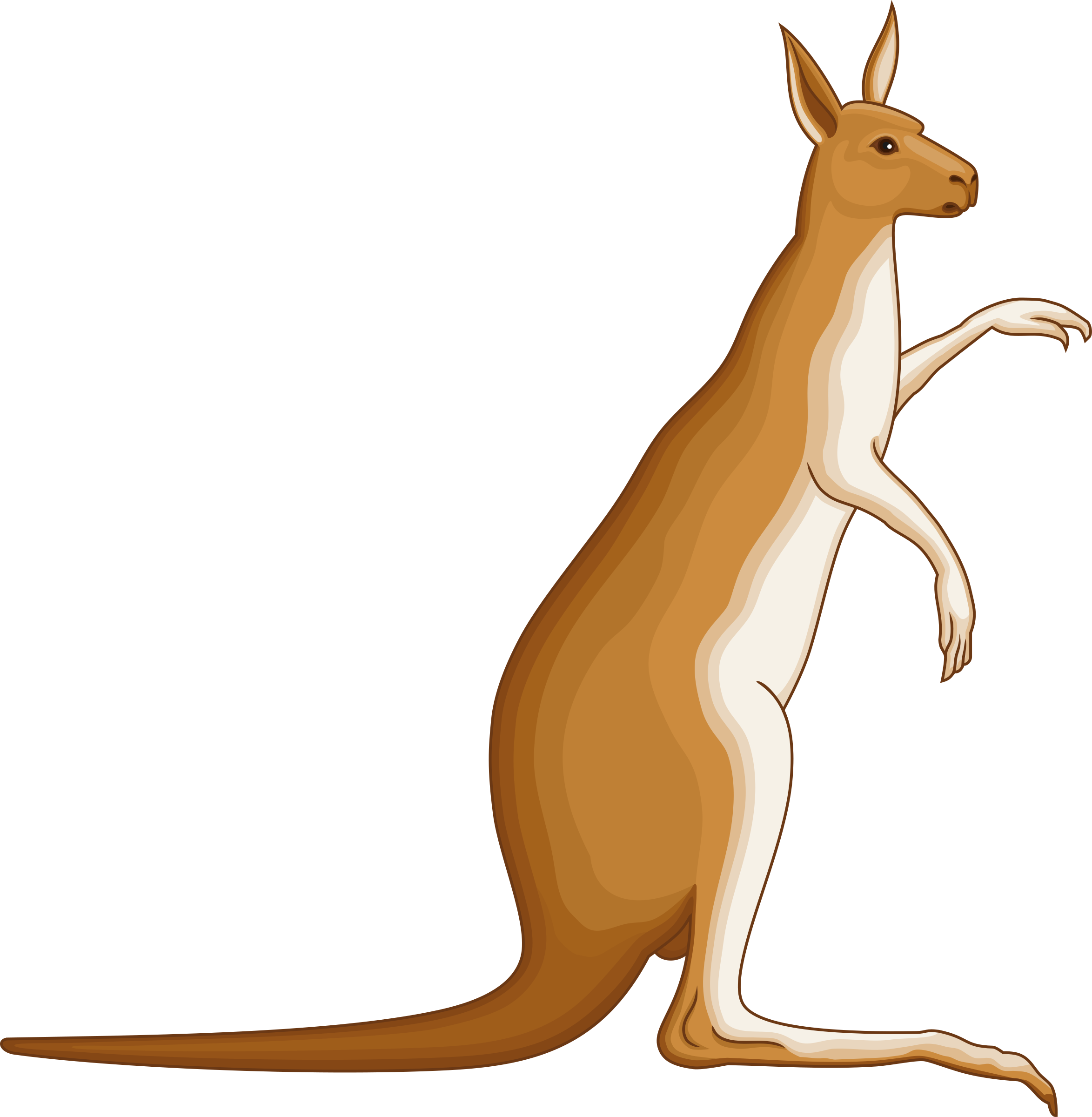 kangaroo clipart images - photo #21