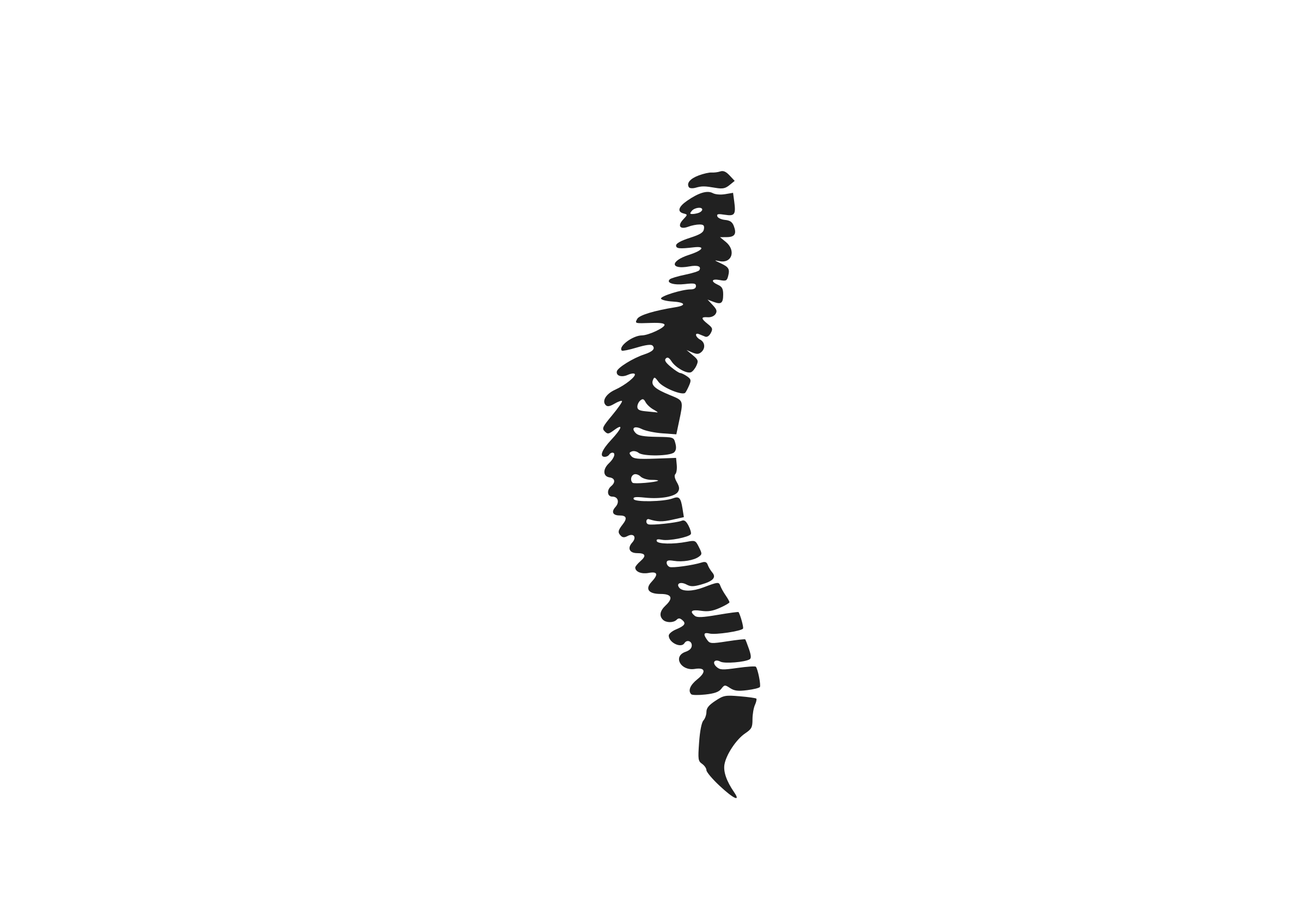 free clip art human spine - photo #13