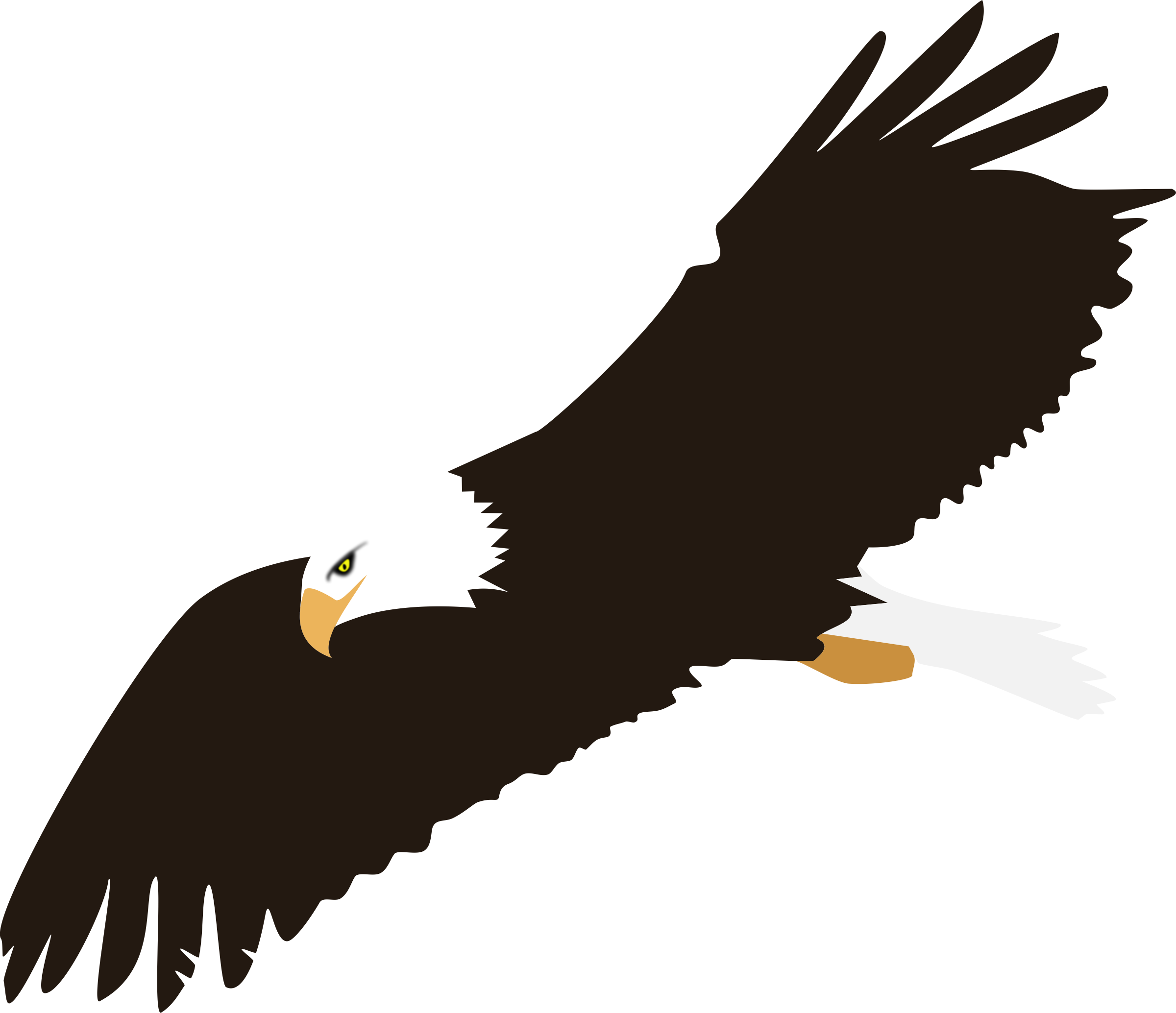 clipart eagle borders - photo #38