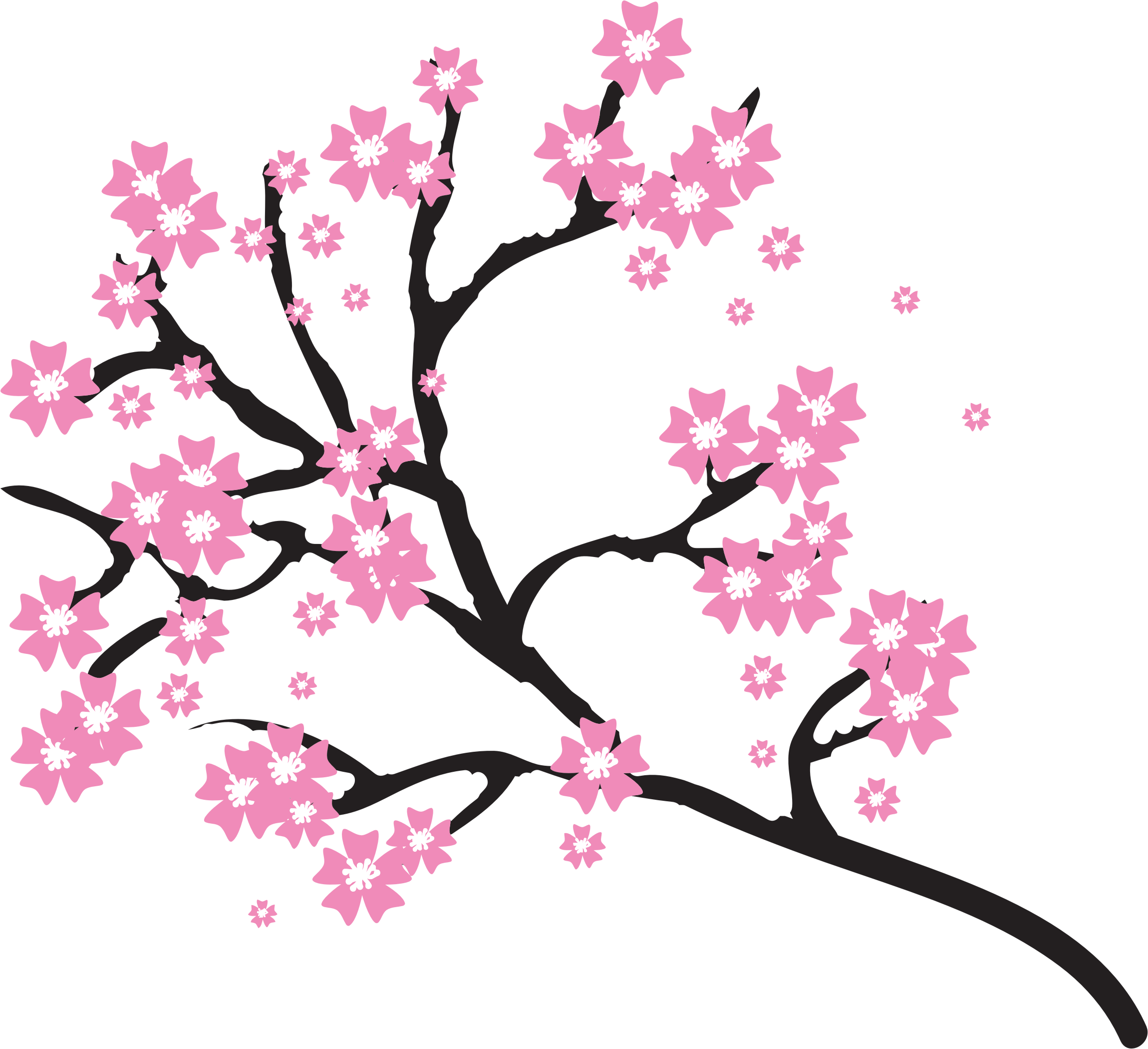 Cherry Blossom Clip Art Free : Iphone Blossom Cherry Wallpaper Sakura ...