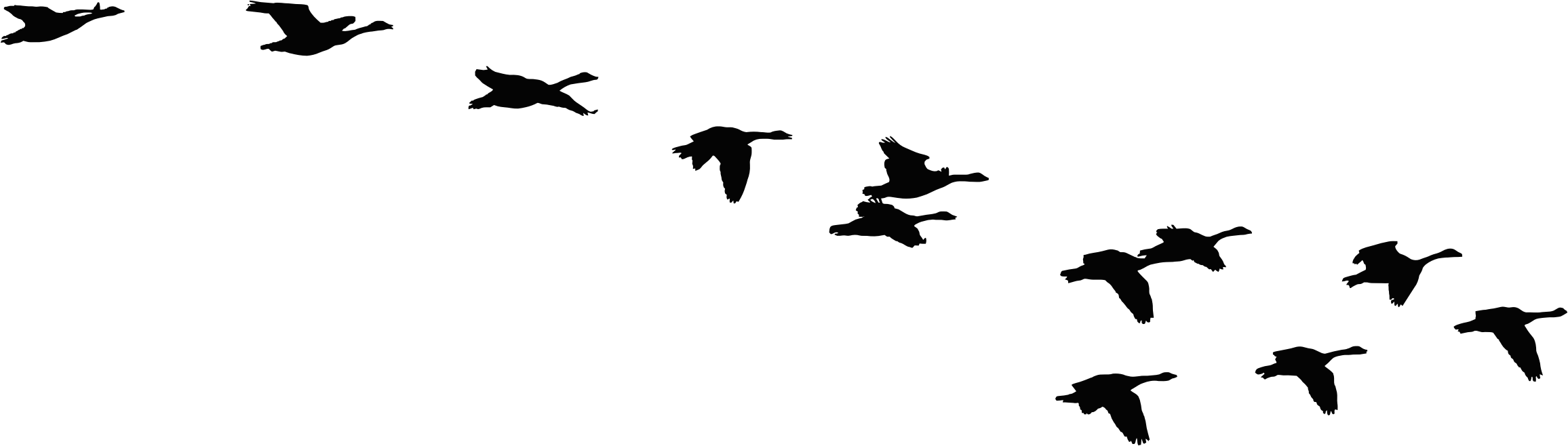 Clipart - Flock Of Flying Geese Silhouette