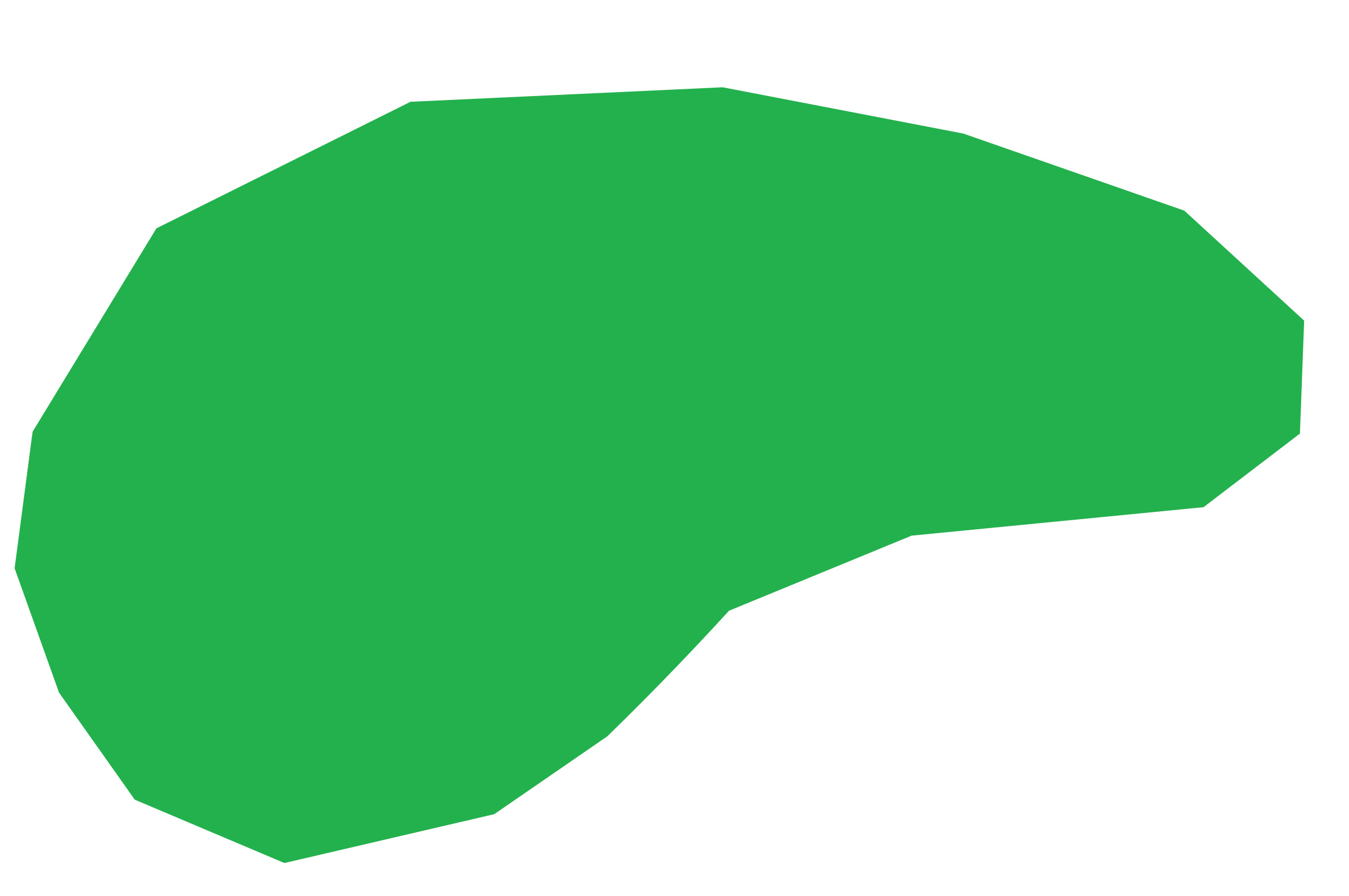 56 56