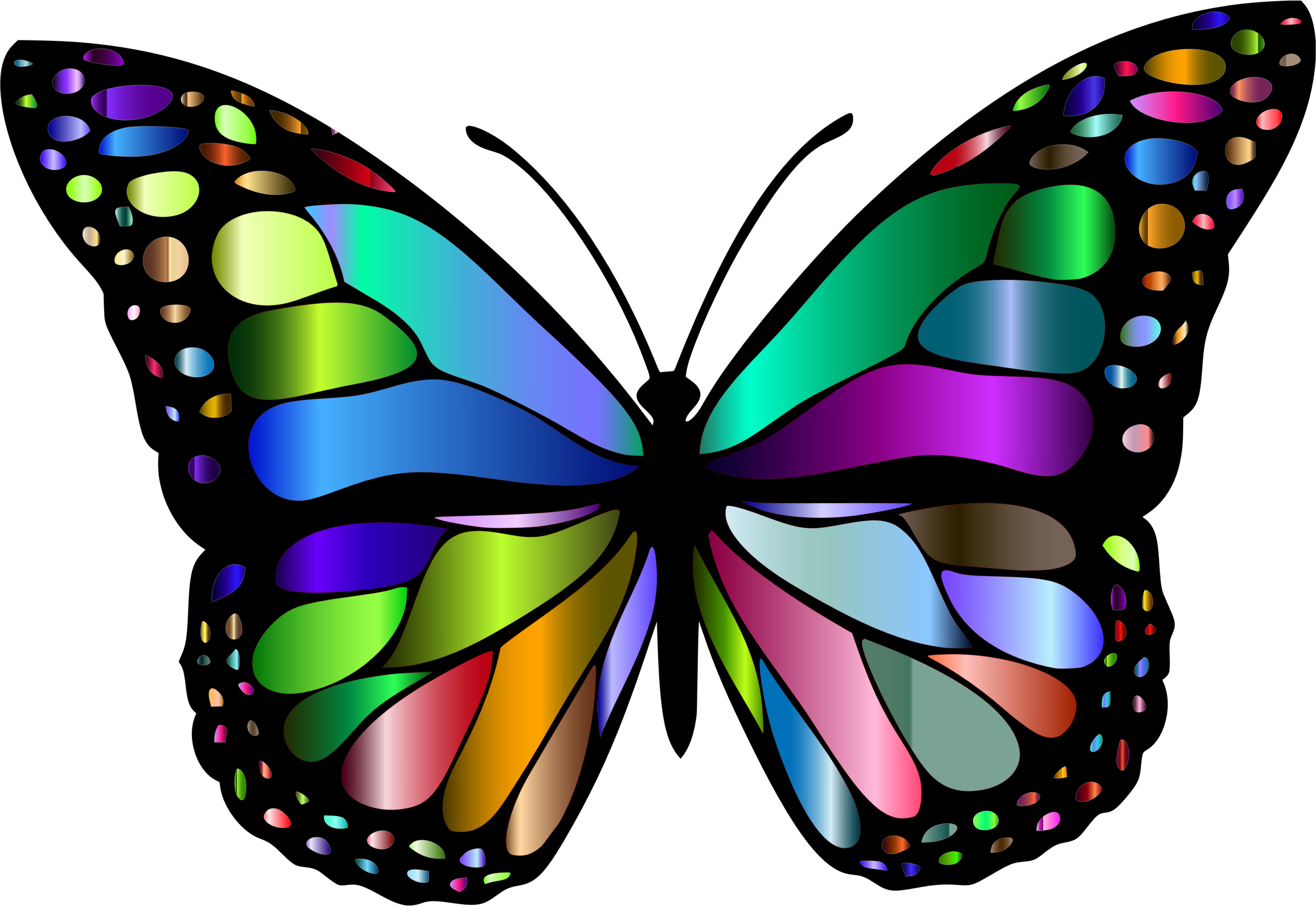 Download Clipart - Monarch Butterfly 2 Variation 3