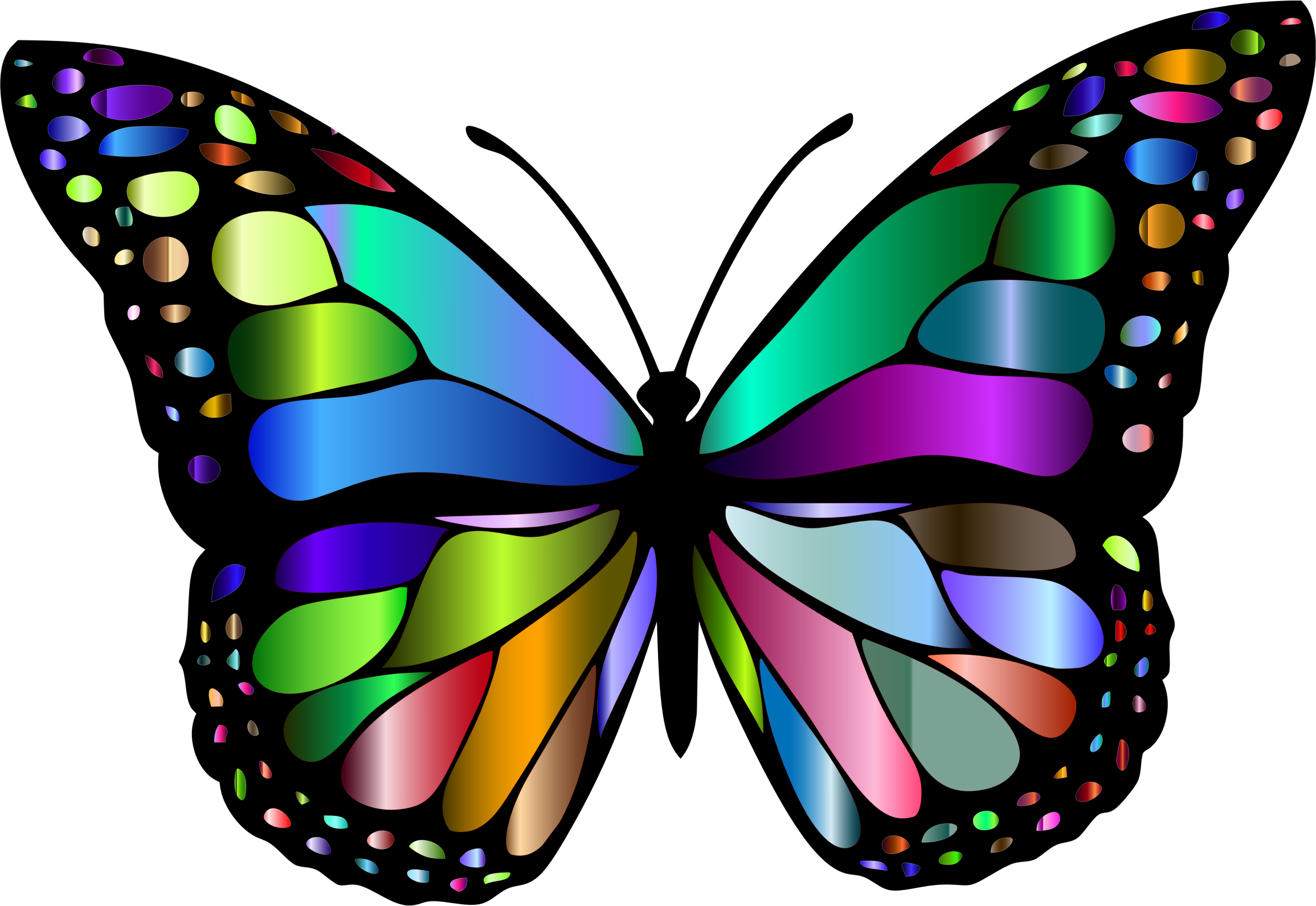 Free Free 167 Transparent Butterfly Svg Free SVG PNG EPS DXF File