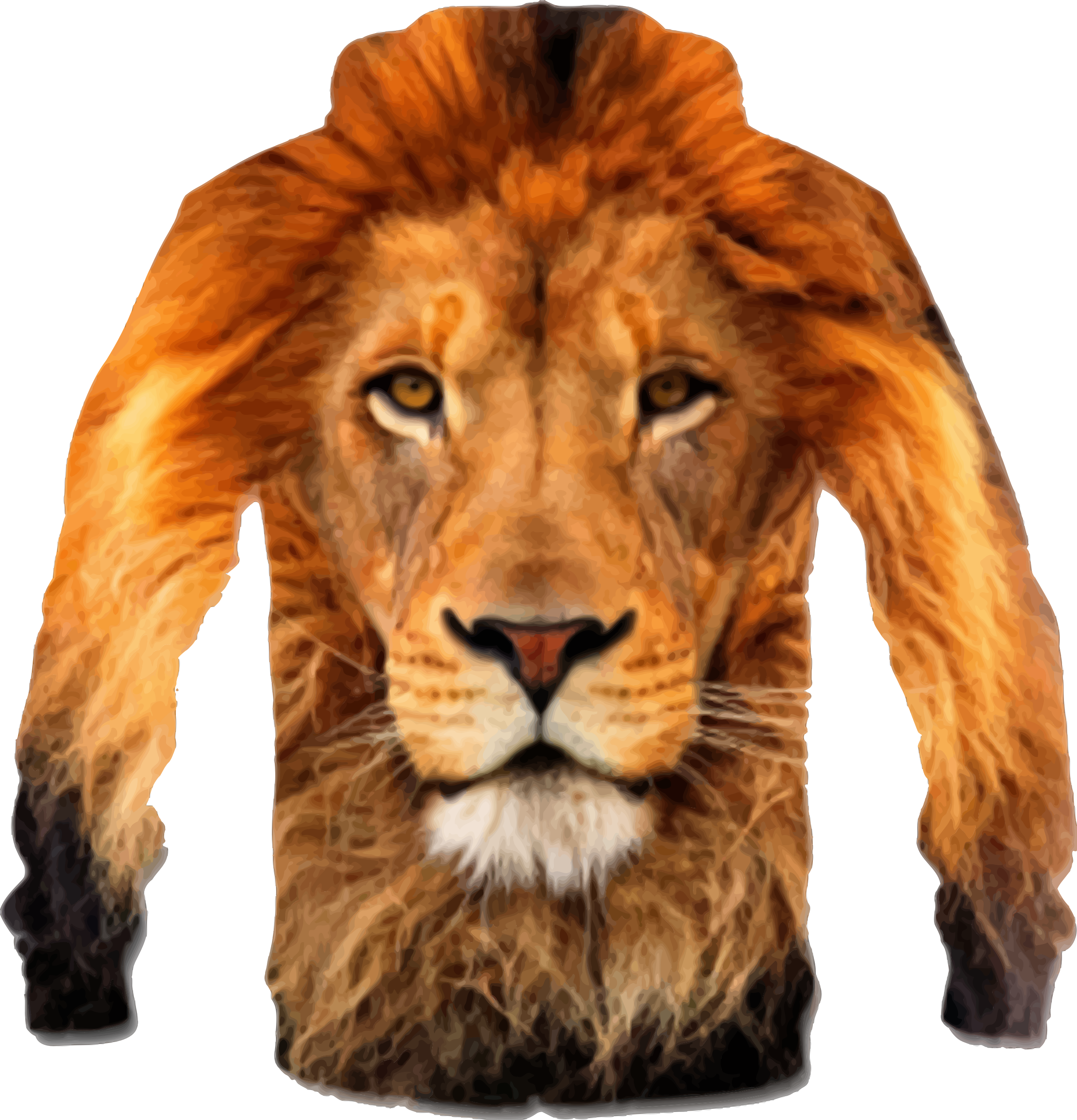 Clipart - Akramly's lion T-shirt vectorized