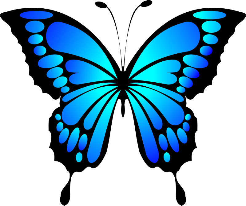 Clipart Blue Butterfly