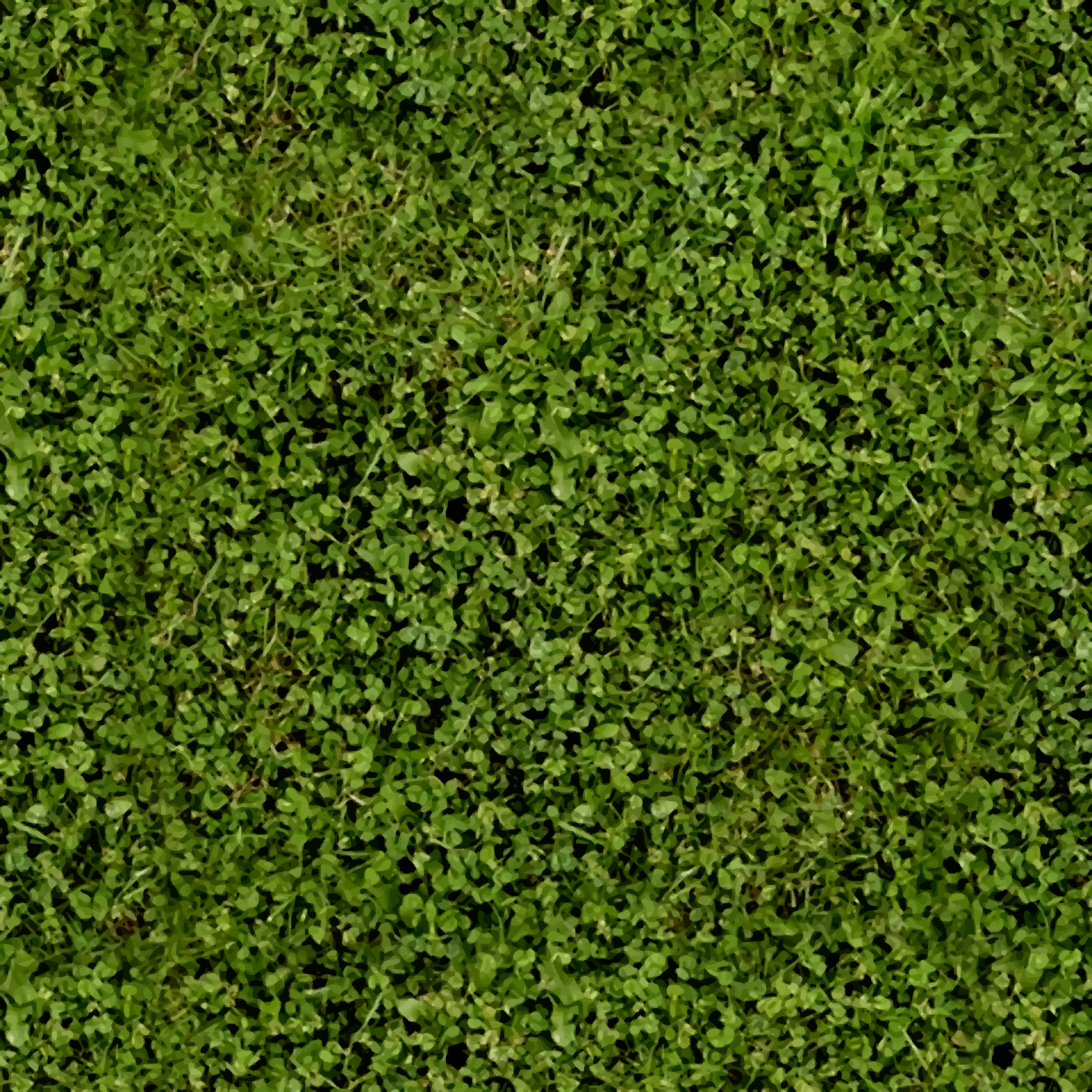 clover login clover login