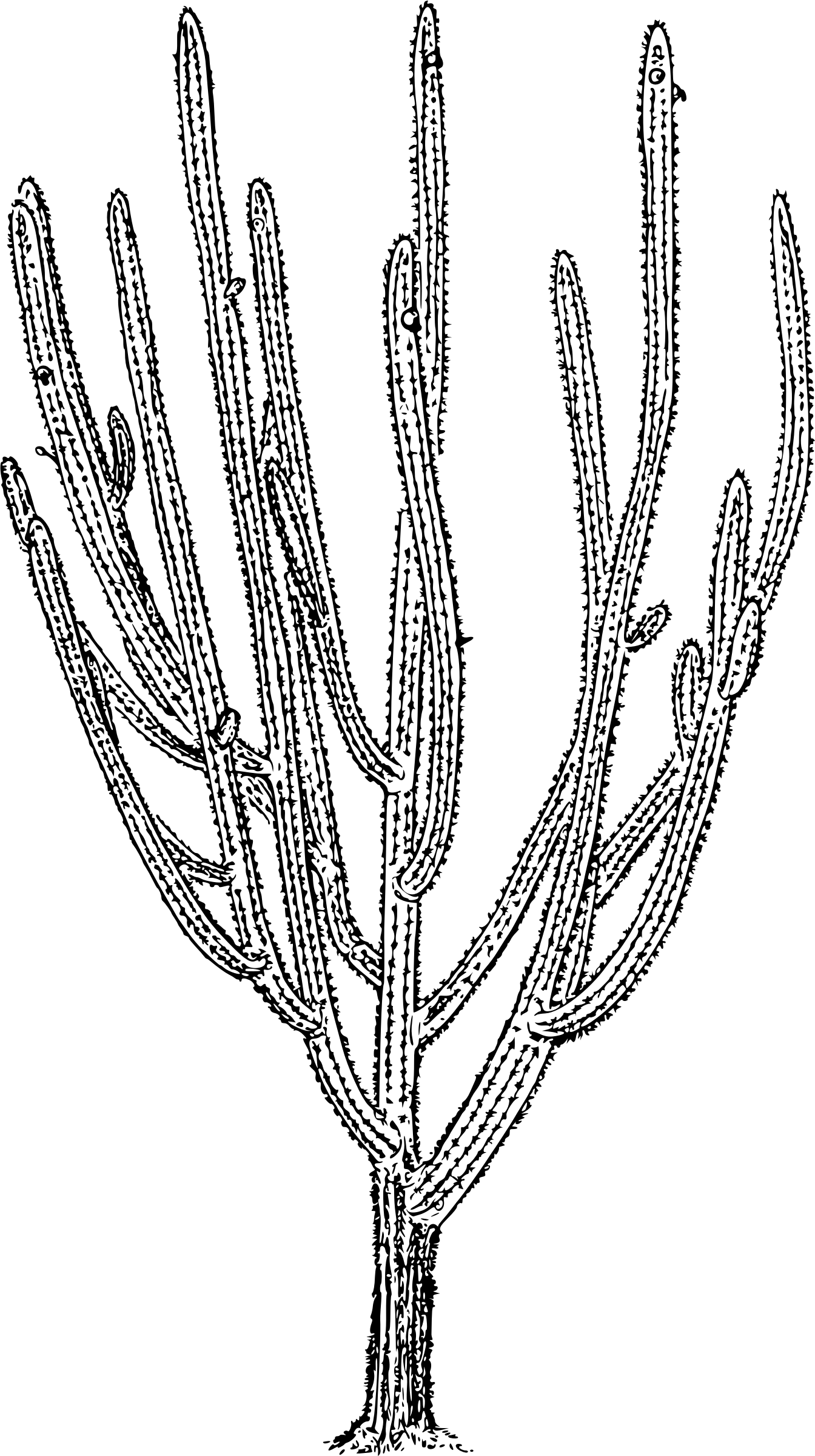 biological oxidation systems