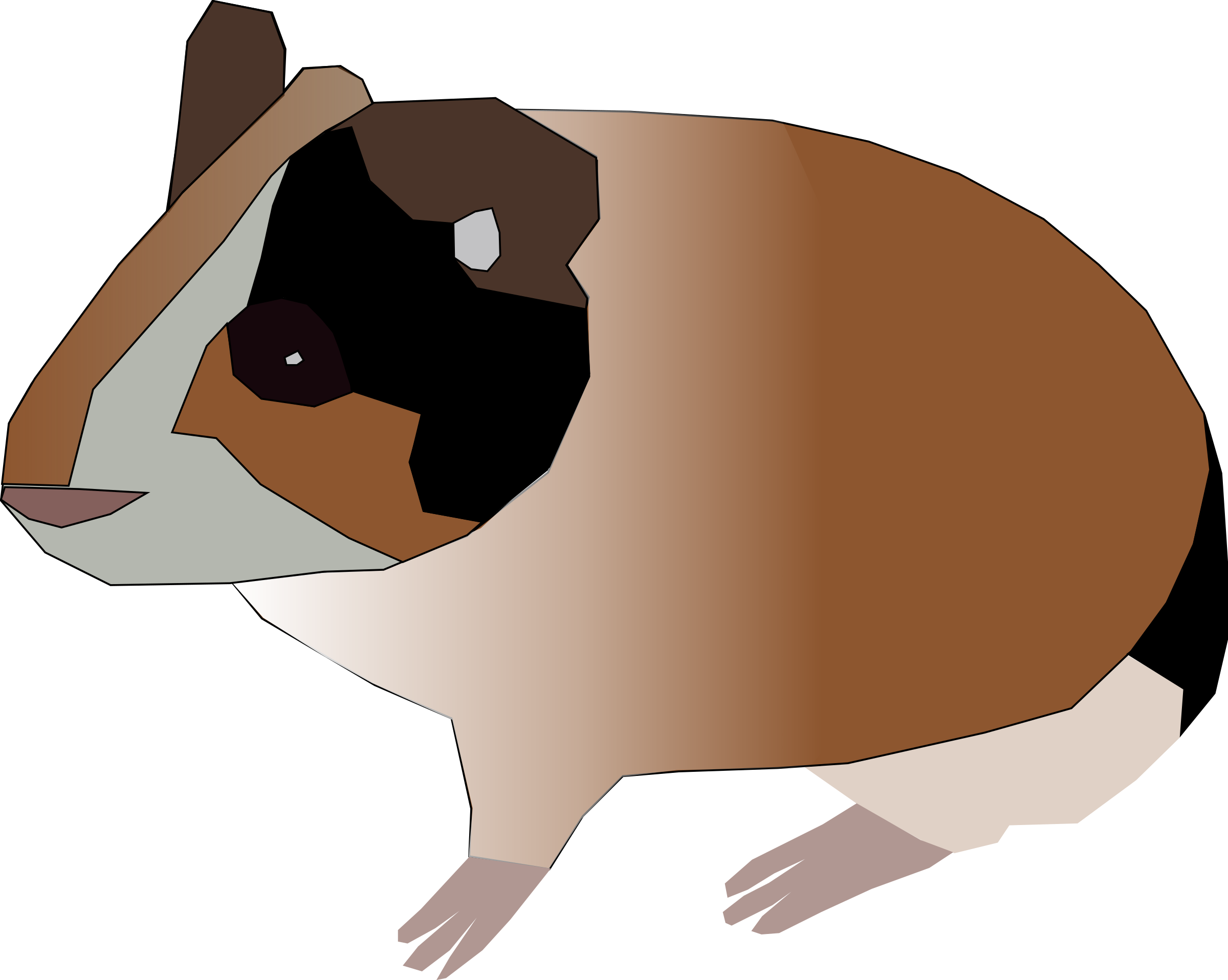 Clipart - guinea pig