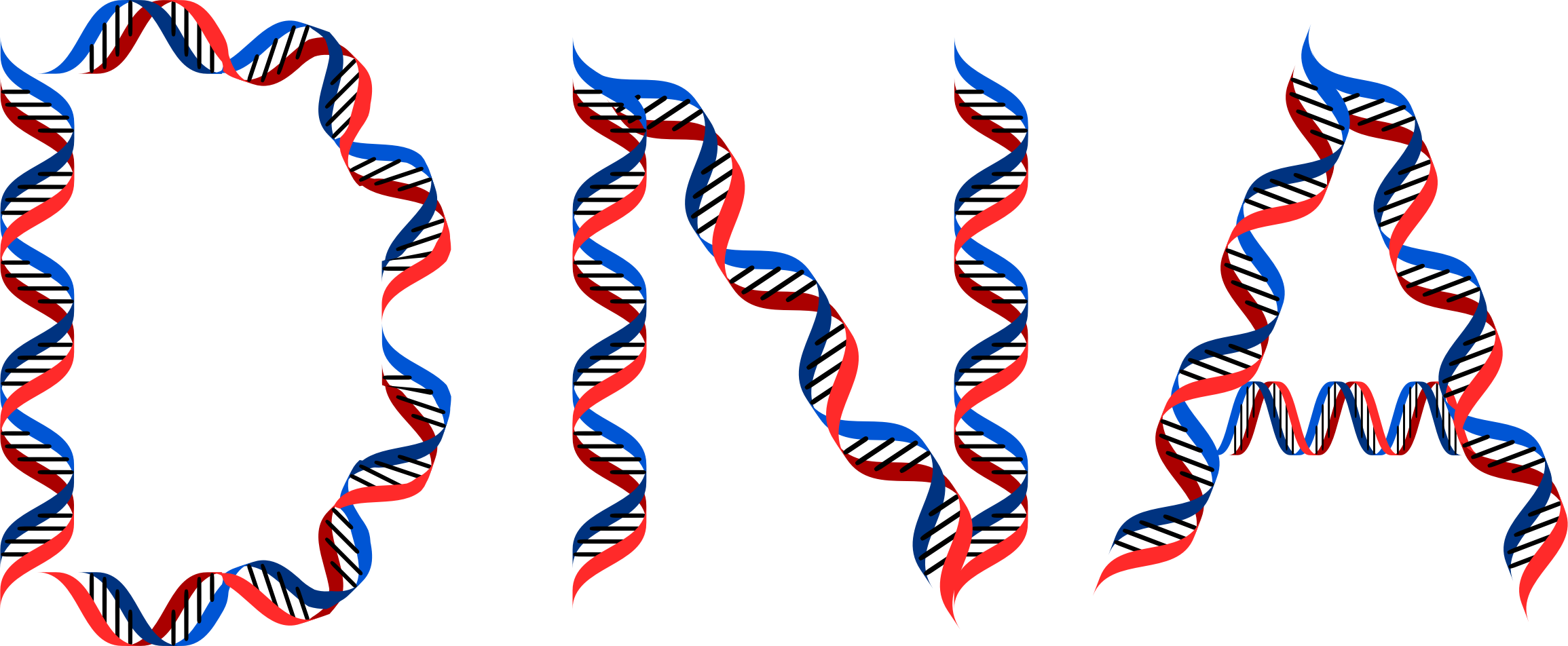 DNA Typography