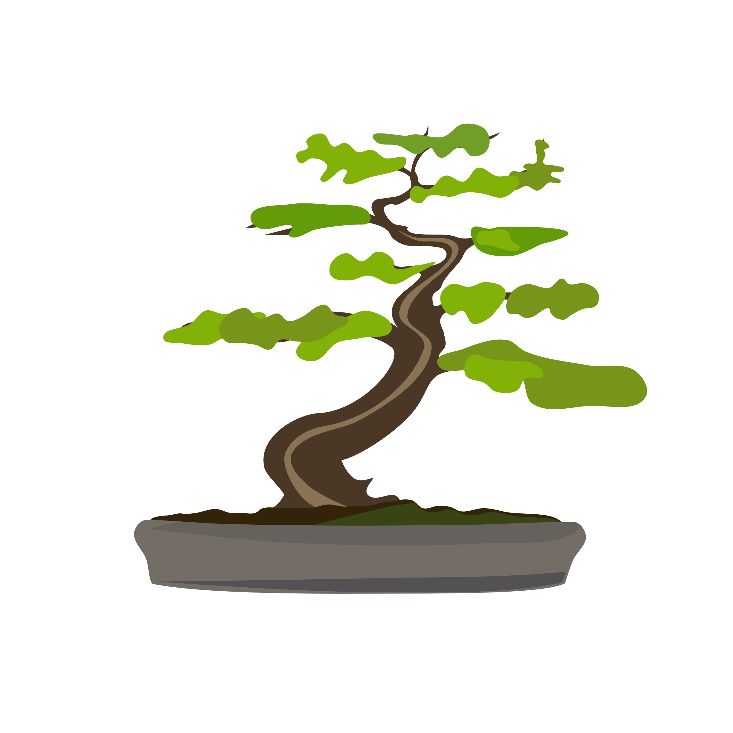 bonsai tree clipart - photo #39