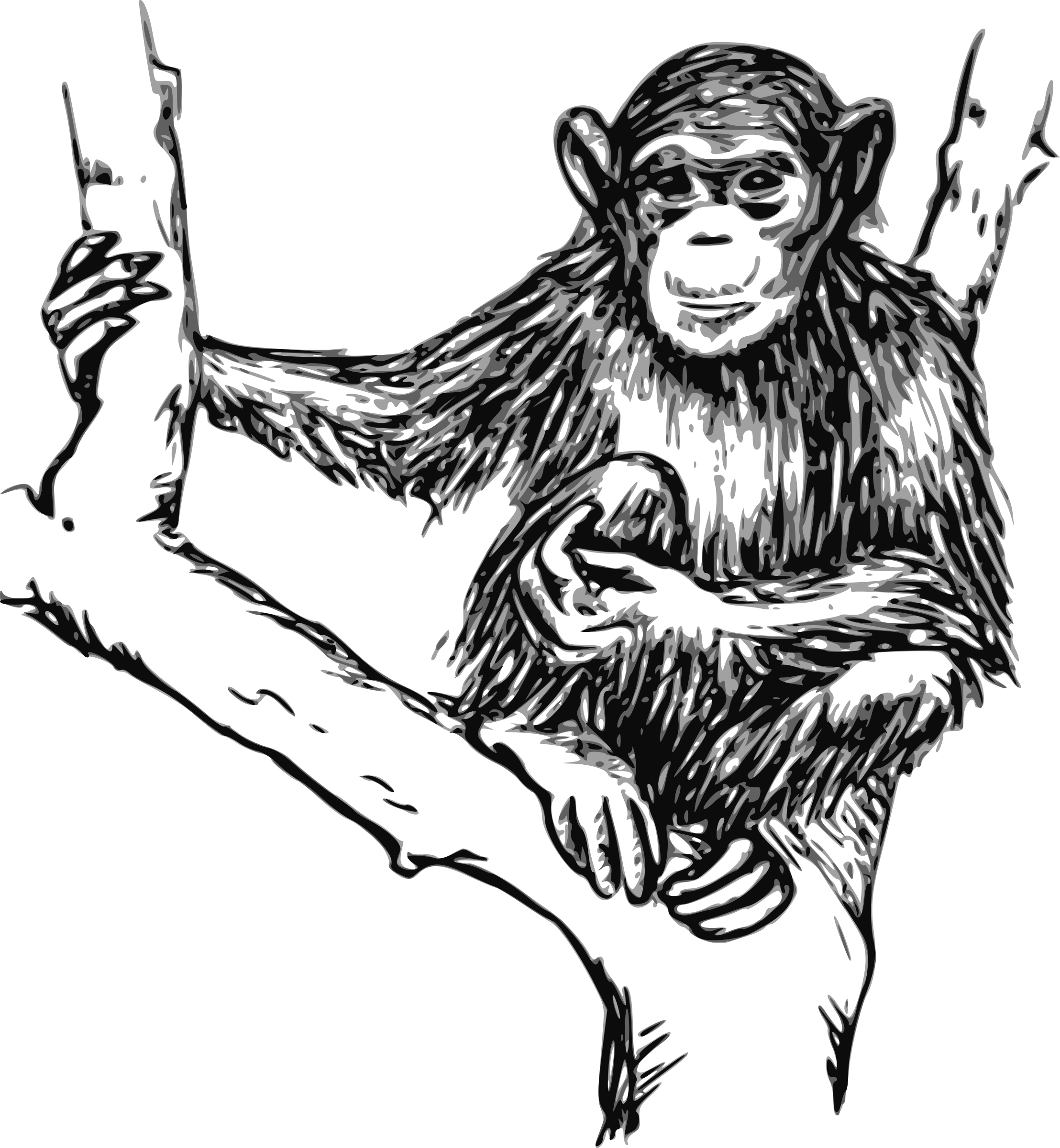 Clipart - grayscale chimpanzee